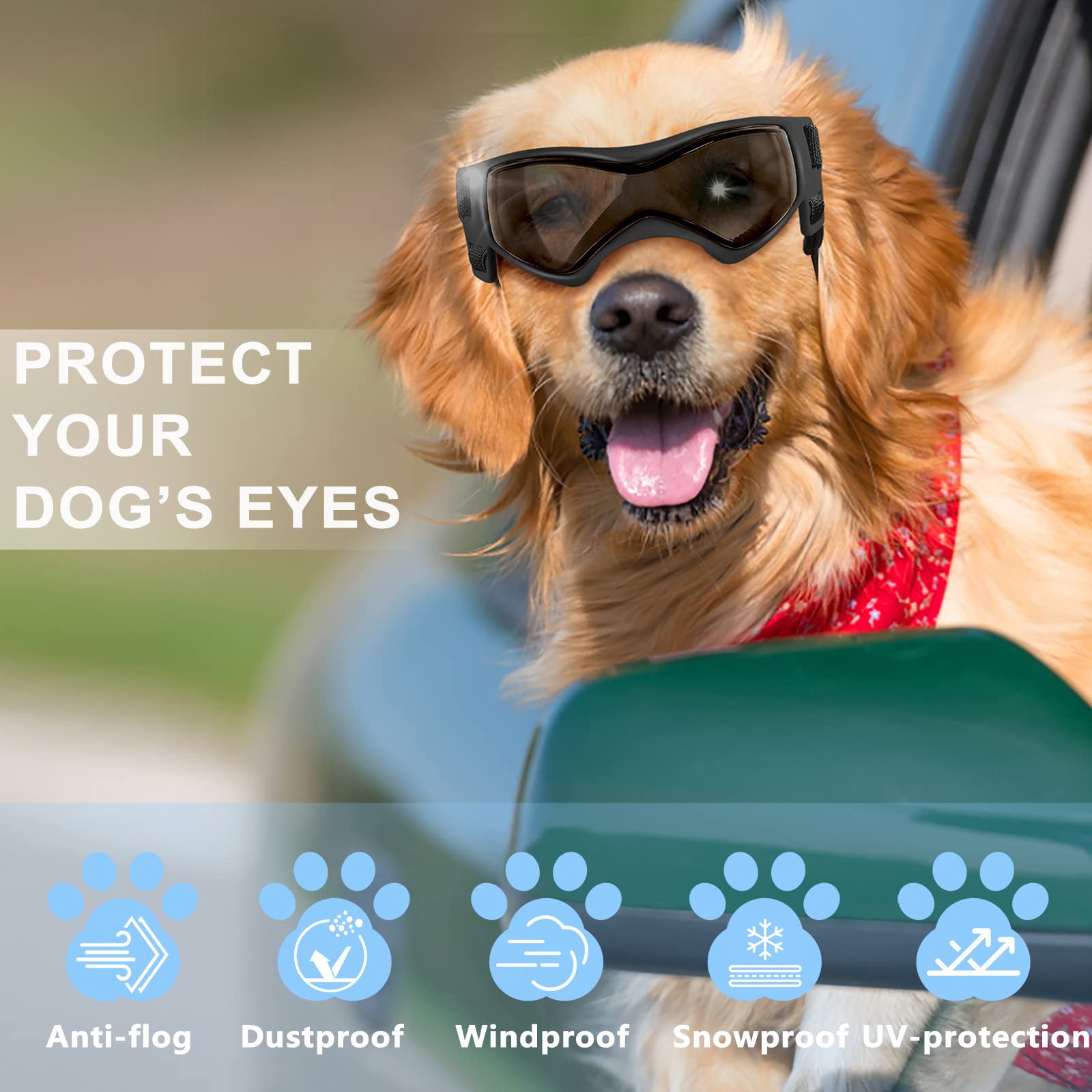 QUMY Dog Goggles UV Protection for Small to Medium Dogs, Windproof, Anti-Fog, Black, 4 Piece Set