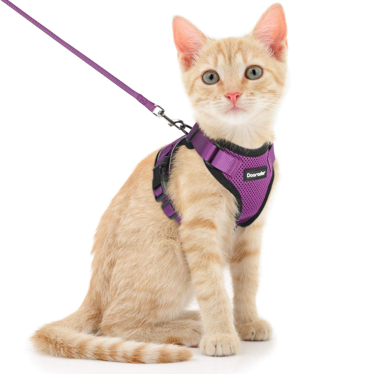 Dooradar Cat Harness And Leash Set, Escape Proof Safe Adjustable Kitten Vest Harnesses For Walking, Easy Control Soft Breathable Mesh Jacket With Reflective Strips For Cats, Purple, S