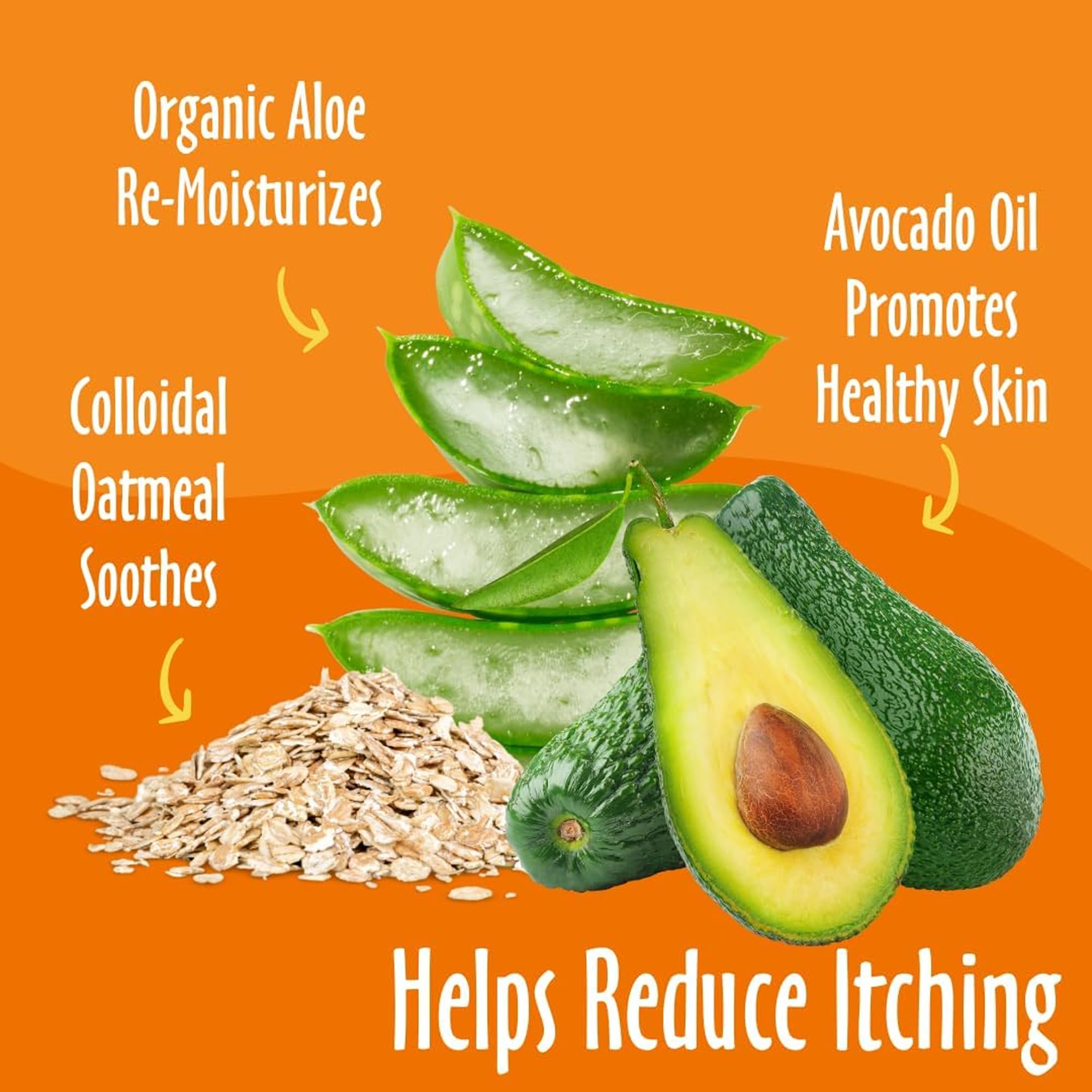 Earthbath, Oatmeal & Aloe Grooming Wipes - Dog Wipes For Paws And Butt, Pet Wipes For Dogs & Cats, Helps Relieve Itchy & Dry Ski