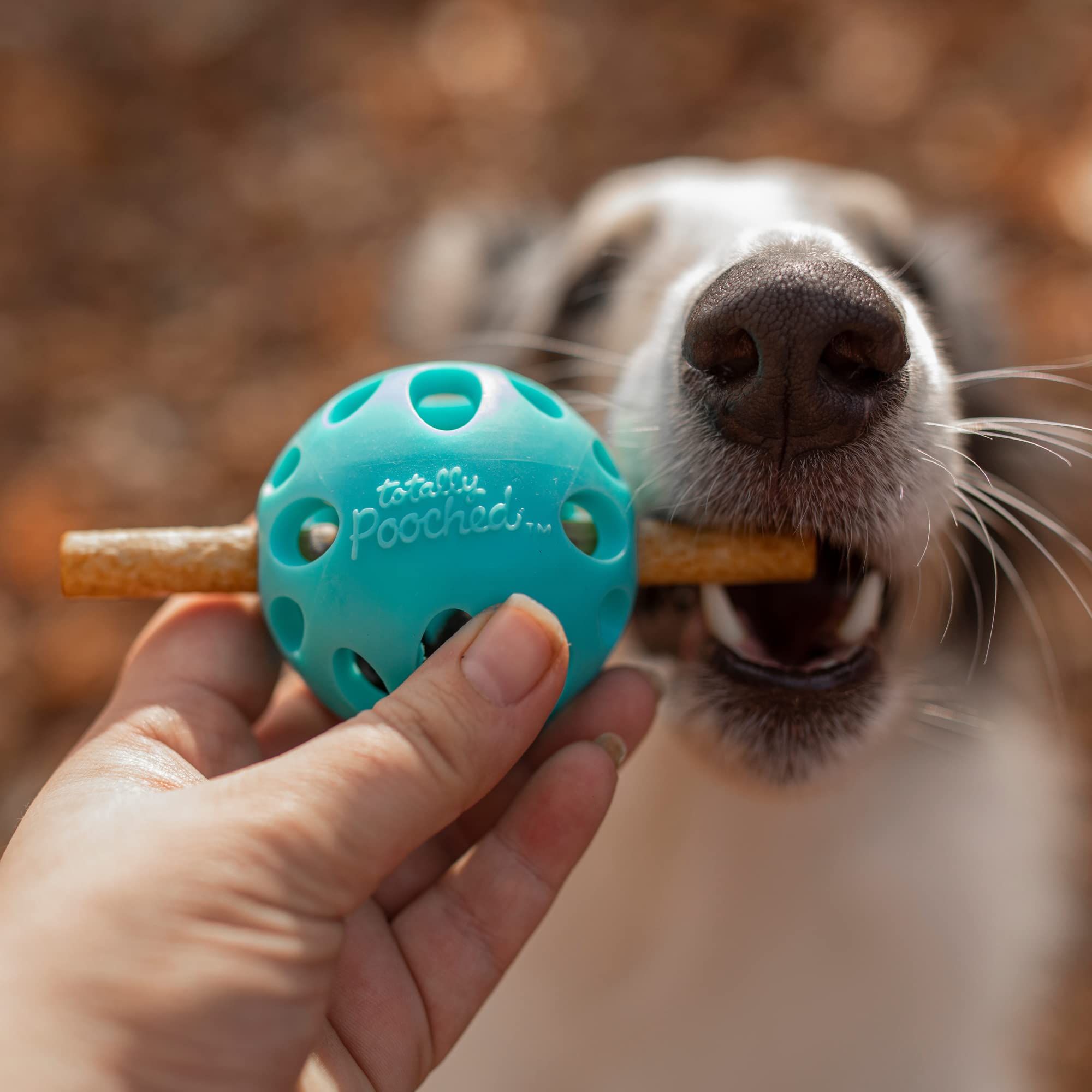 Messy Mutts Totally Pooched Huff'N Puff Ball | 2.5?Tpr Puzzle Ball For Dogs | 2-In-1 Durable Interactive Toy And Tooth Cleaner | Teal