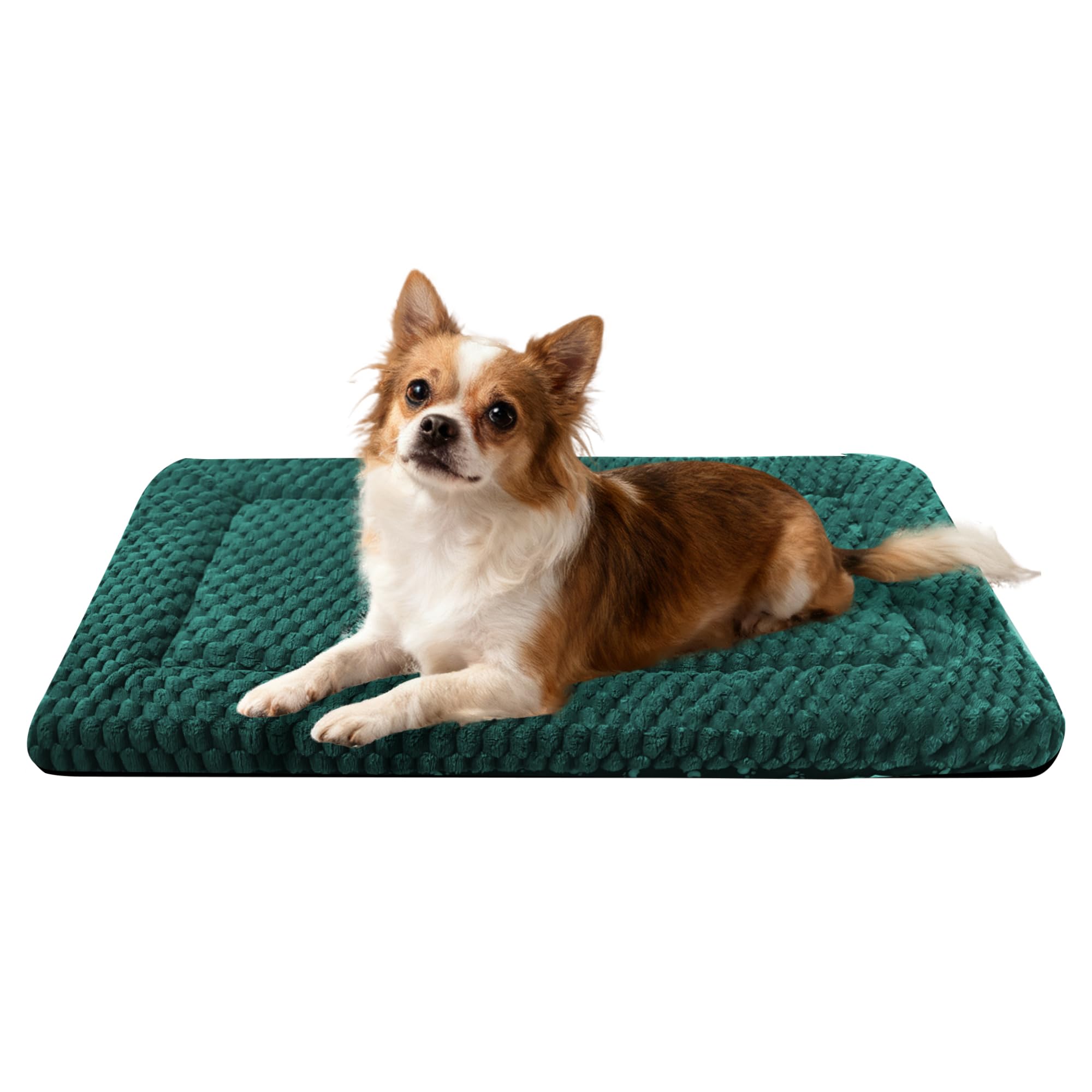 Dog Bed Crate Mat, Soft Durable Washable Anti-Slip Kennel Pad for Dogs & Cats, Reversible (Dark Green, M(30*20*1.5))