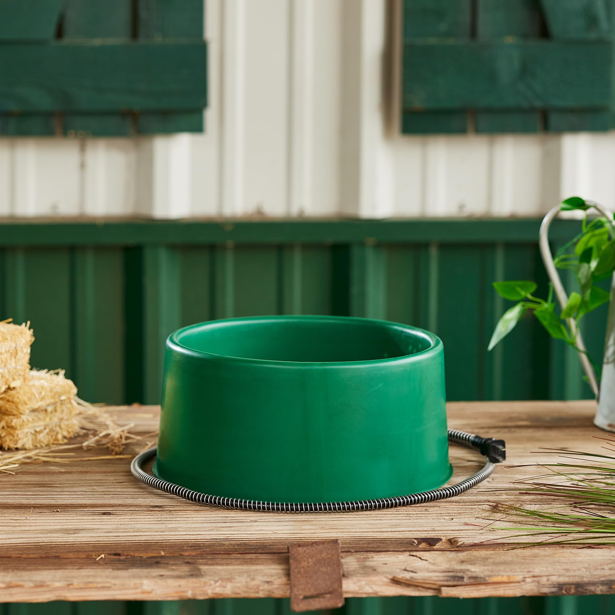 Farm Innovators Heated Pet Water Bowl - 1.5 Gallon, 60W, Green Plastic Dish with Anti-Chew Cord Protector for Dogs & Cats