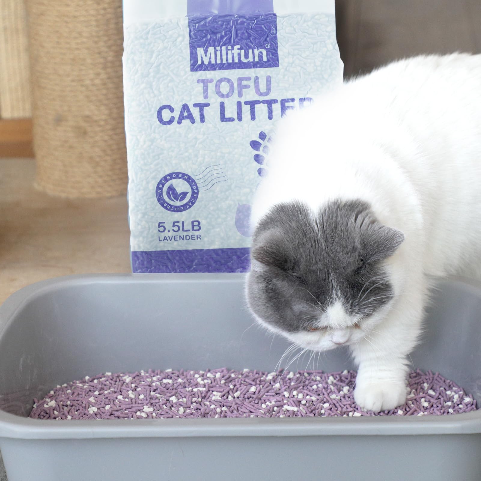 Tofu Cat Litter, Dust-Free Kitty Litter, Ultra Absorbent Clumping Cat Pellet Litter, Fast Drying, Lavender Cat Tofu Litter Odor