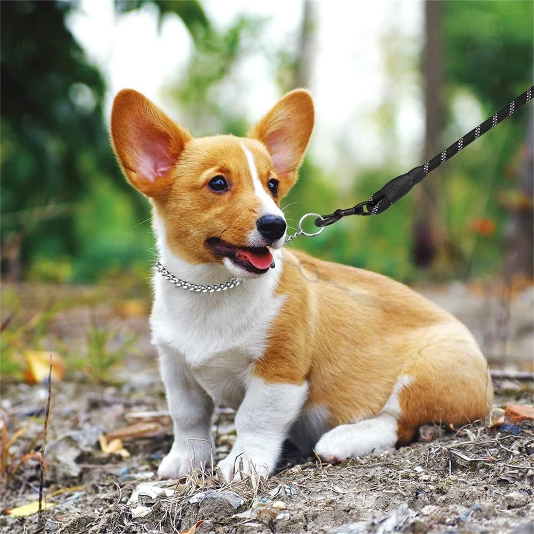 Silver Choke Collar For Small Dogs,Metal Slip Link Dog Chain Martingale Collar Heavy Duty Training Dog Choker Collar Boy Girl Pu