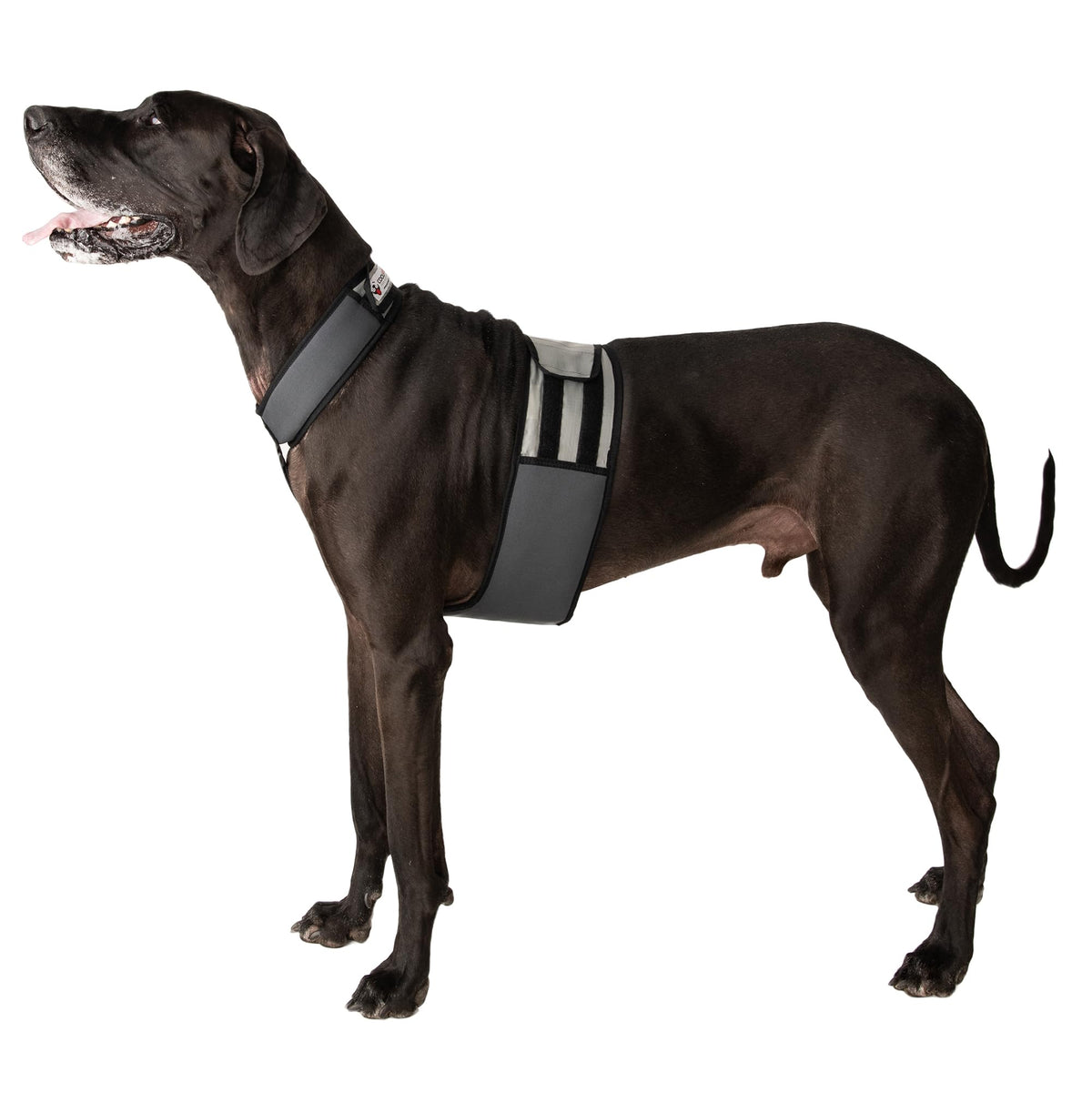 Coolerdog Dog Cooling Vest And Cooling Collar - Ice Vest For Dogs (Xl)