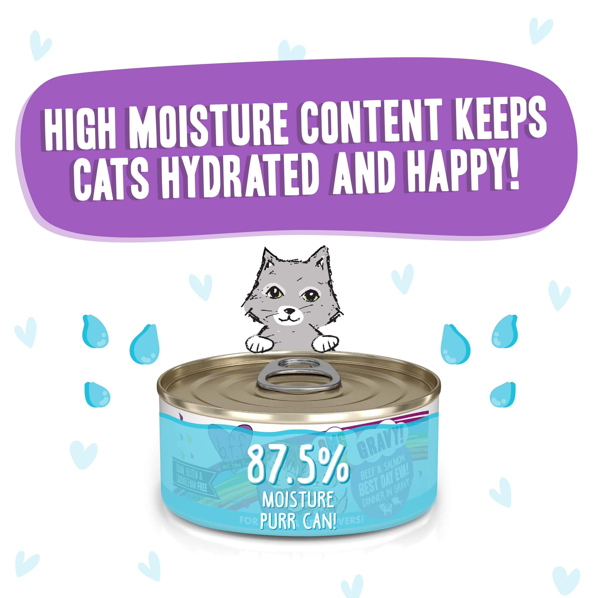 Weruva B.F.F. OMG - Best Feline Friend Oh My Gravy!, Best Day Eva! with Beef & Salmon in Gravy Cat Food, 5.5oz Can (Pack of 8)