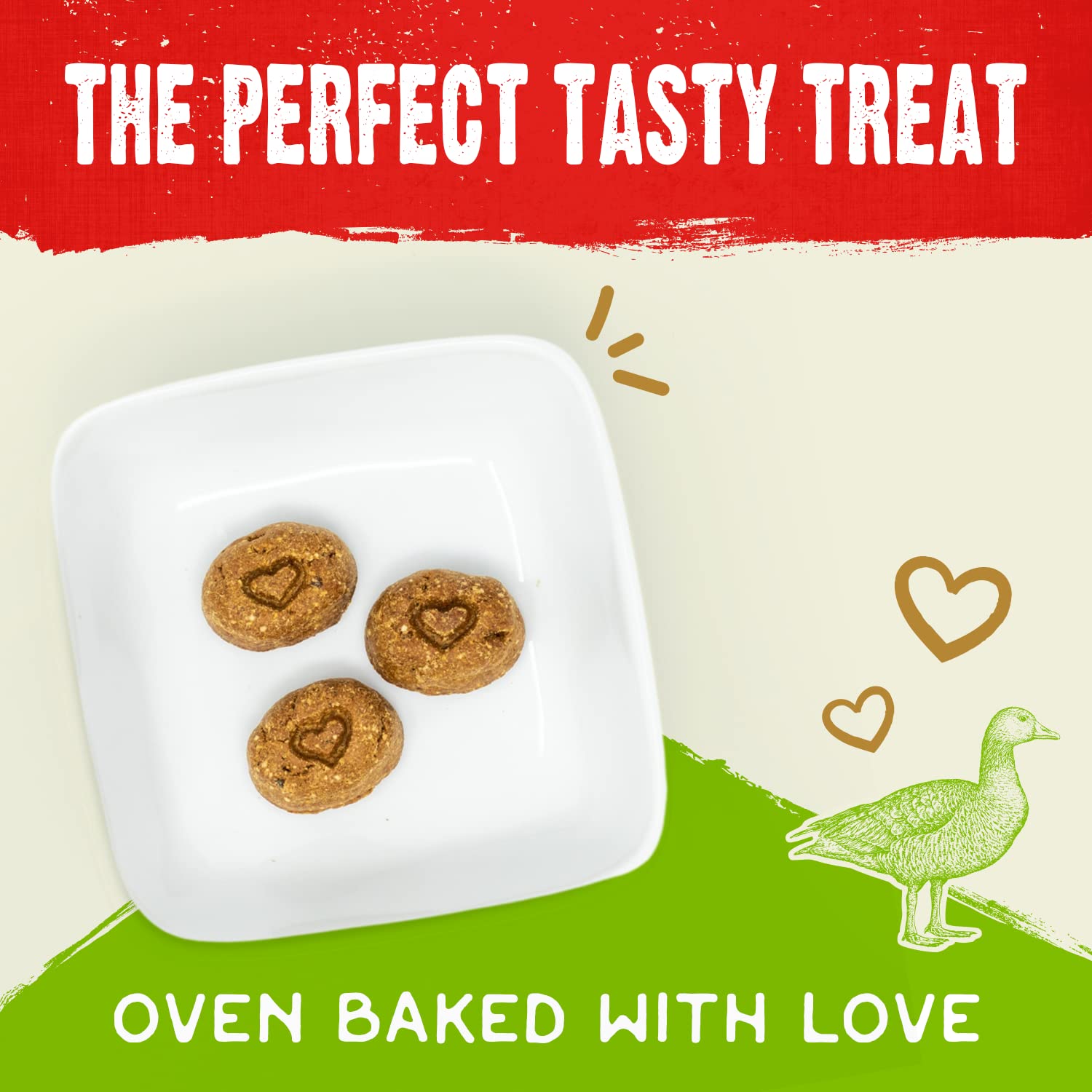 Stella & Chewys Freeze-Dried Raw Coated Dog Biscuits - Cage-Free Duck Recipe - Protein Rich, Grain Free Dog & Puppy Treat - Gre