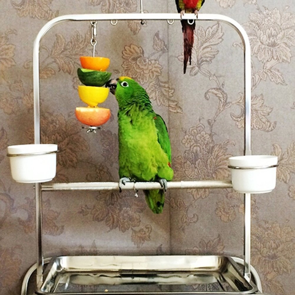 Honbay 2Pcs Parrot Bird Rabbit Hutch Cage Fruit Vegetable Holder Skewer Foraging Toy Animal Treating Tool (S)