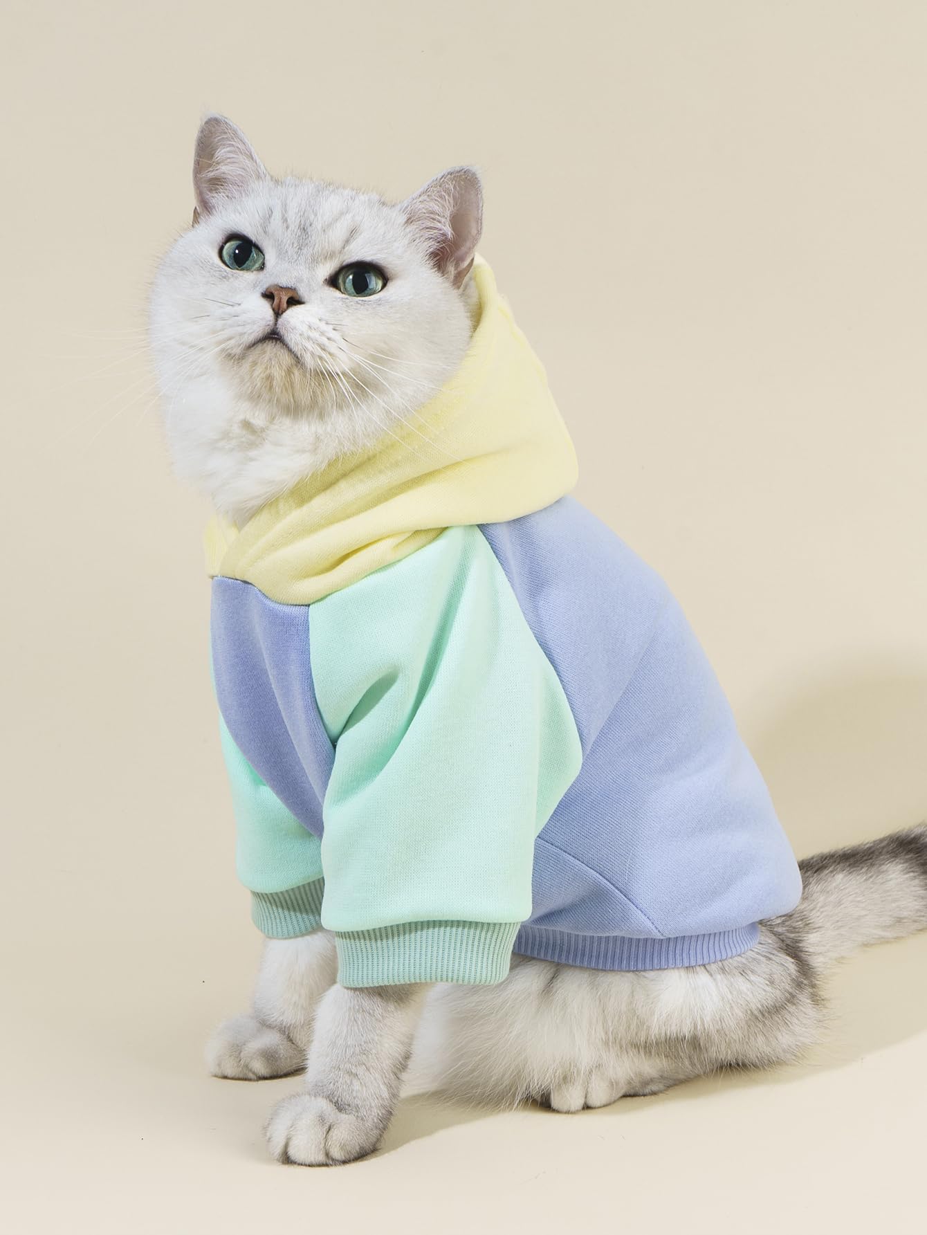Qweee Basic Dog & Cat Hoodie, Warm Jacket & Shirt For Small & Medium Dogs & Cats - Yellow & Blue - X-Small