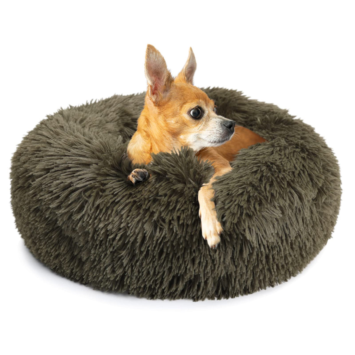 Small Dog Bed Calming Dogs Bed For Small Dogs Anti-Anxiety Puppy Bed Machine Washable Fluffy Luxury Anti-Slip Waterproof Mute Base Warming Cozy Soft Pet Round Bed