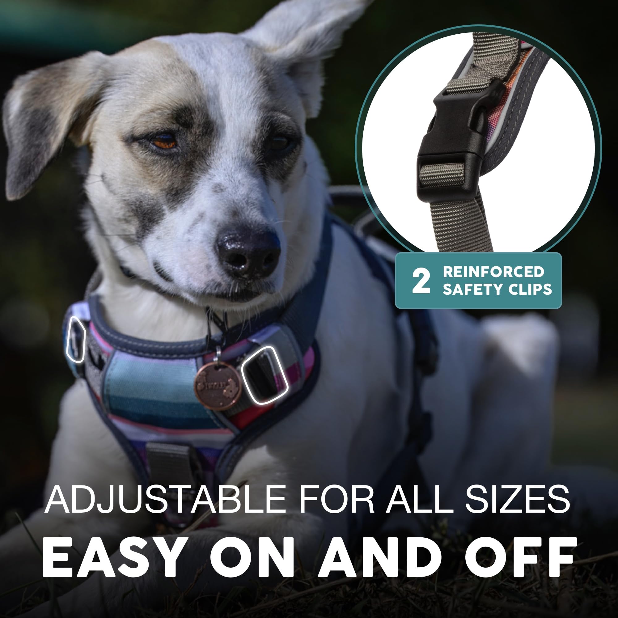 Embark Adventure Dog Harness, Reflective Trim No Pull Dog Harnesses For Small Sized Dogs - Military Grade Nylon, Front Clip With