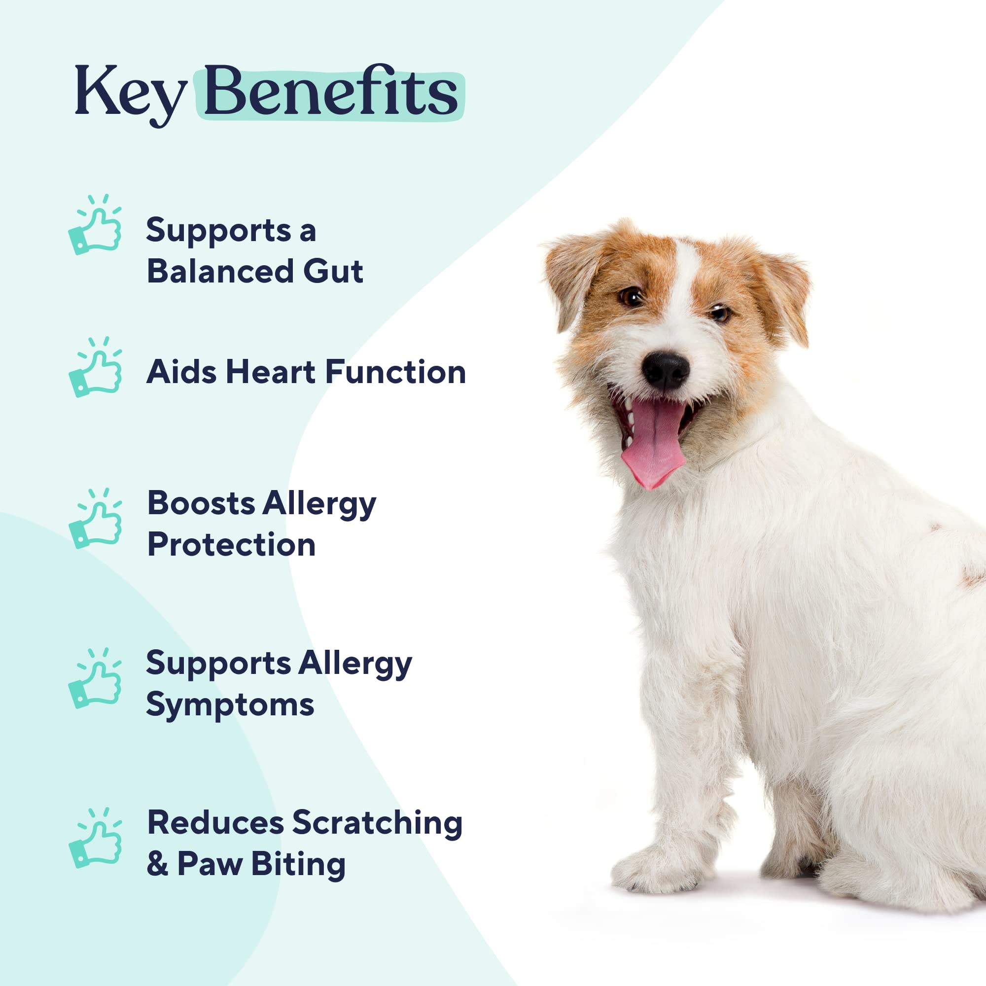 Pawfy Probiotics for Dogs | Dog Diarrhea Medication | Small and Large Dog Probiotics for Digestive Health | Improves Gut Health