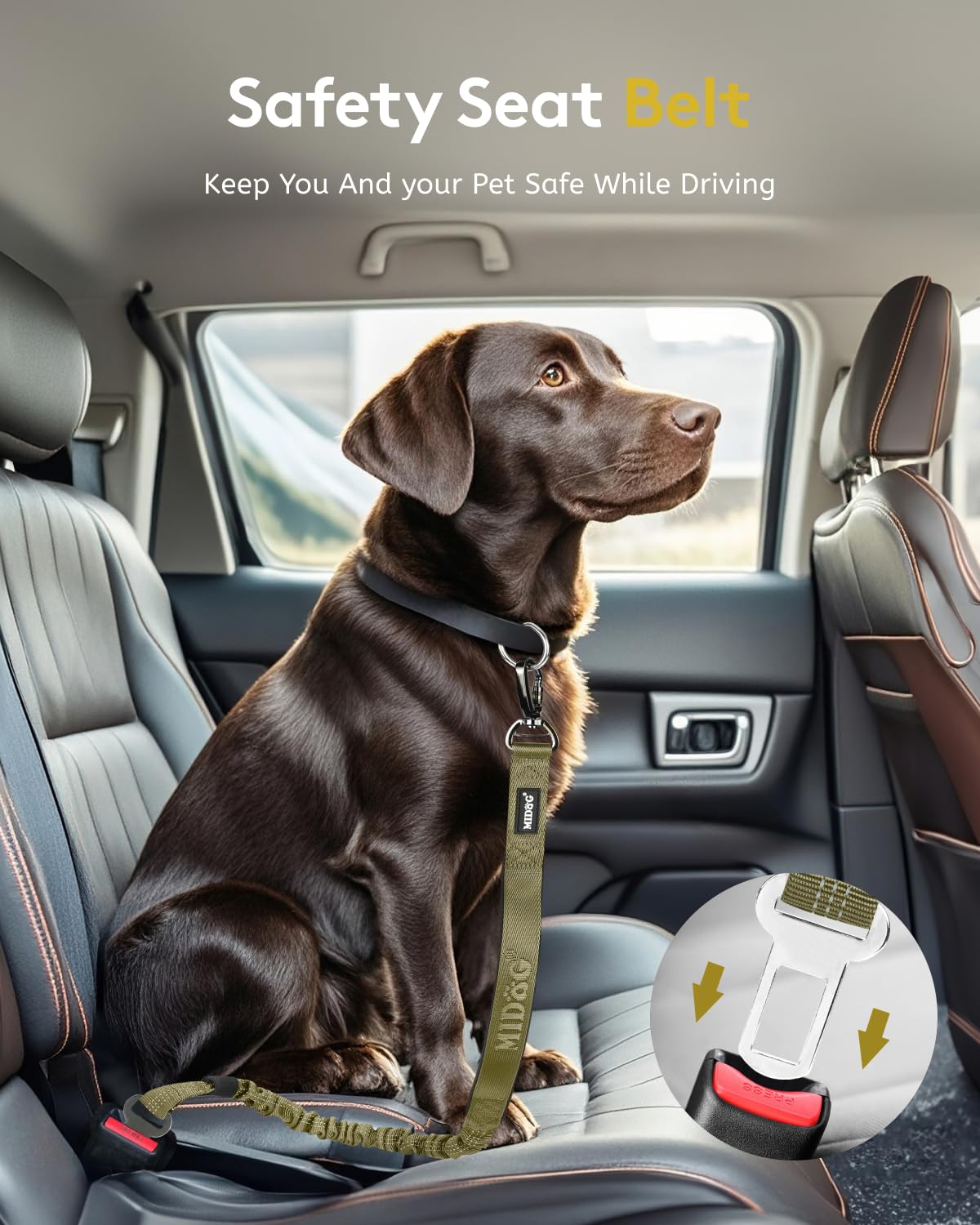 MIDOG Dog Leash with Zipper Pouch,Multifunctional Bungee Leash for Medium to Large Sized Dog Walking