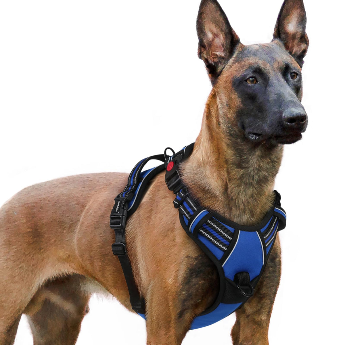 Rabbitgoo Dog Harness For Large, No Pull Pet Harness With 3 Buckles, Adjustable Soft Padded Pooch Vest With Instant Control Handle, Easy Walking Reflective Pet Vest For Extra Large Dogs, Blue, Xl