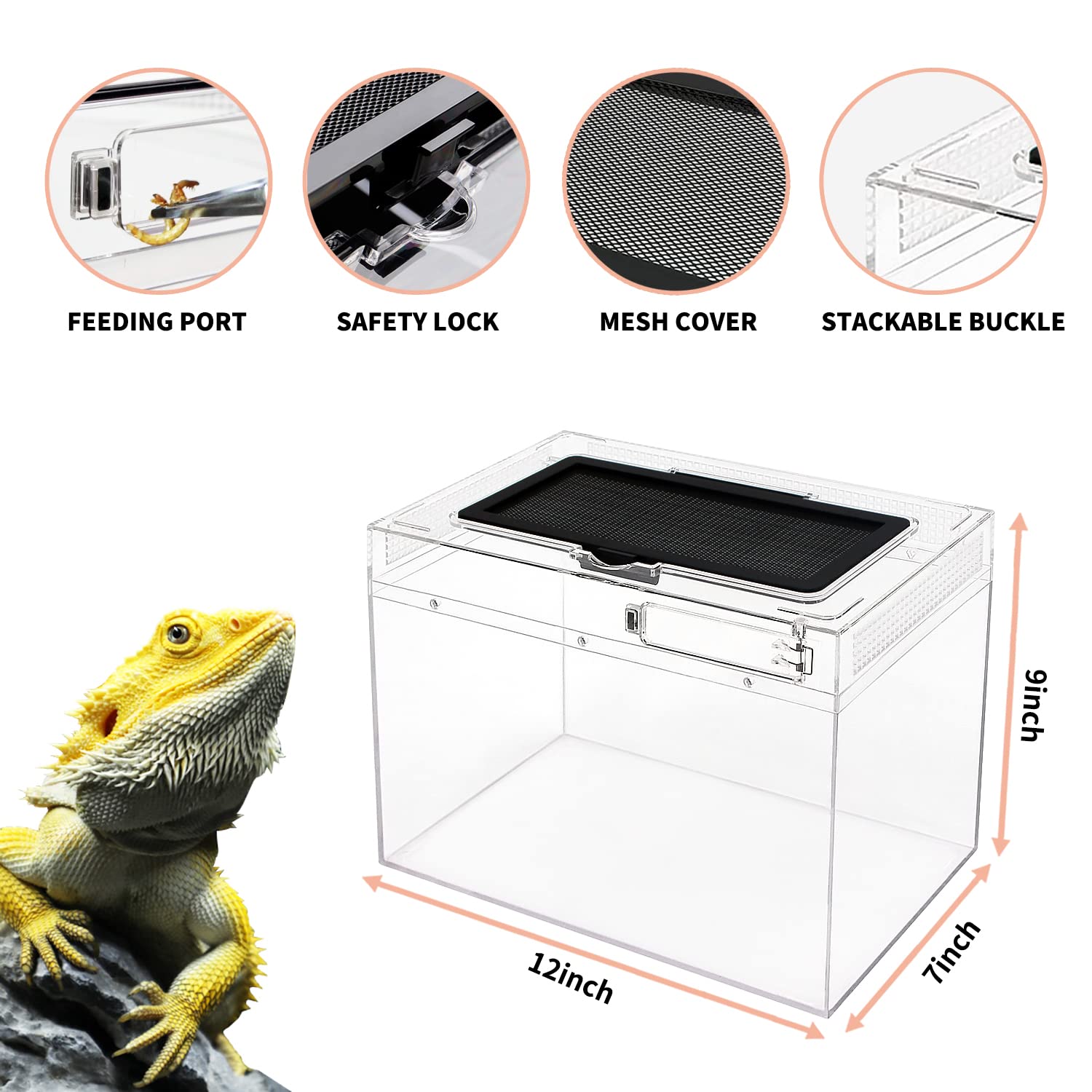Reptile Growth Mini Reptile Terrarium,12'' x 7''x 9'' Reptile Tank with Full View Visually Appealing,for Insect,Fish,Tarantula,H