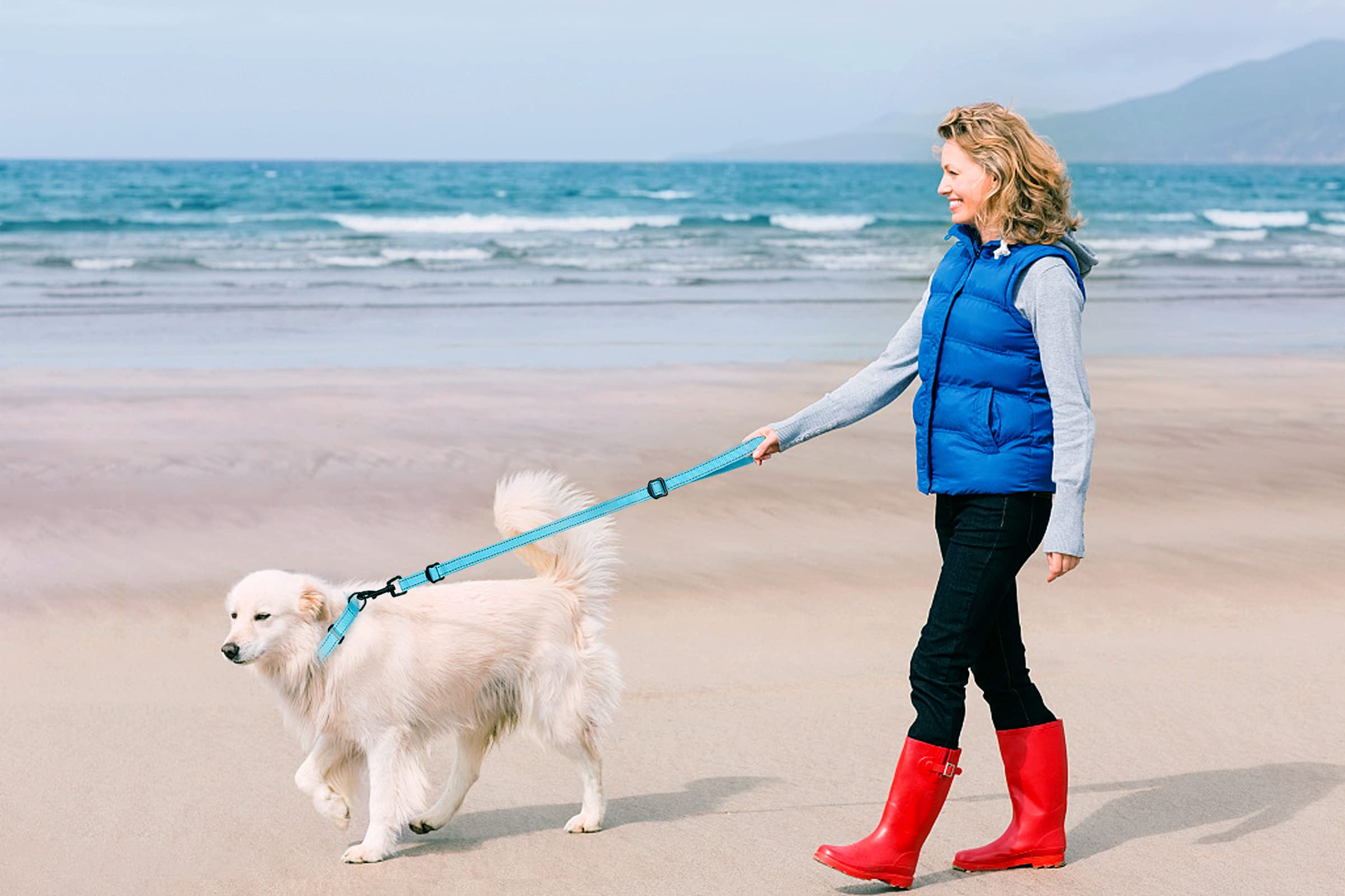 Martingale Dog Collar And Leash Set Martingale Collars For Dogs Reflective Martingale Collar For Small Medium Large Dogs(Sky Blu