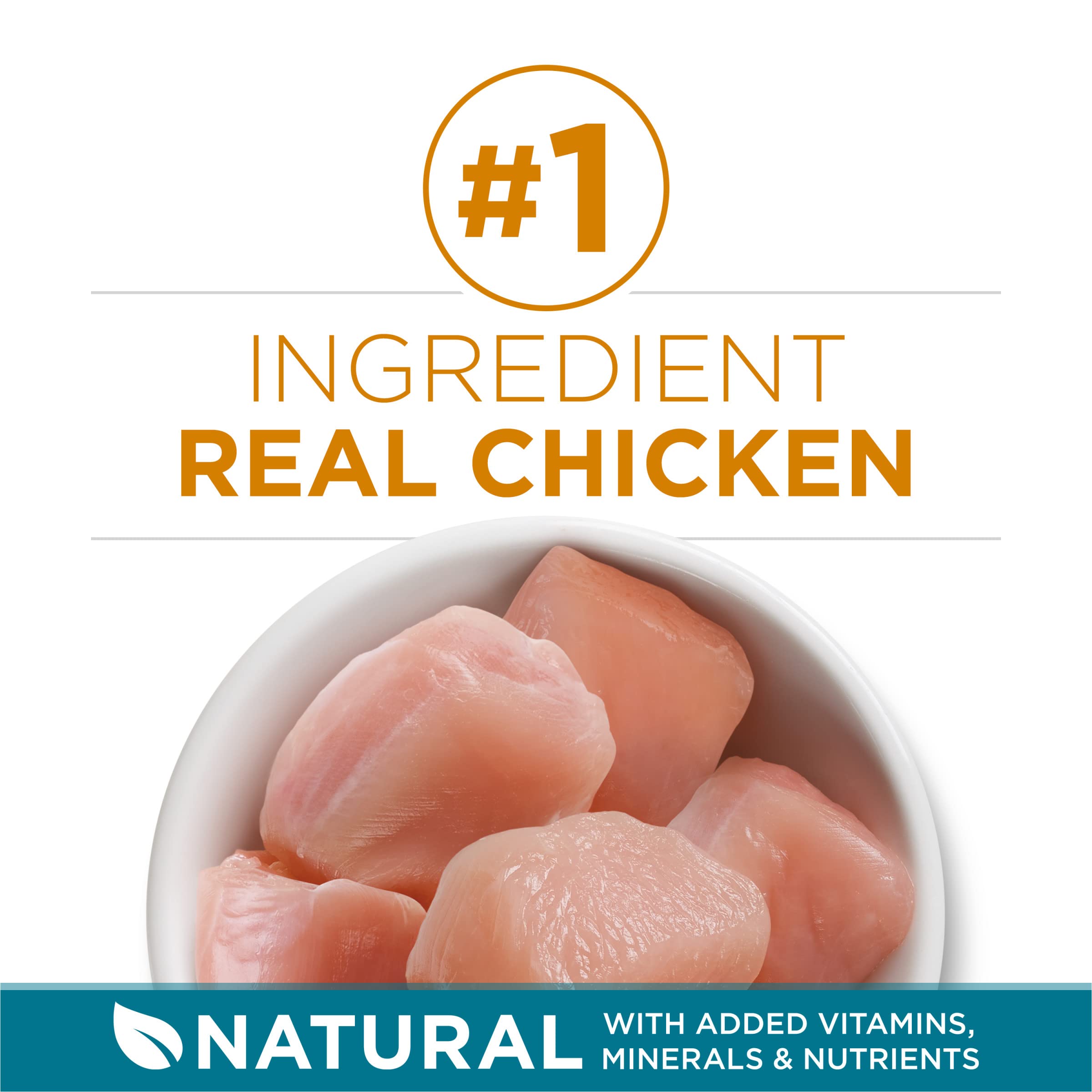 Purina ONE Natural Dry Cat Food, Tender Selects Blend With Real Chicken - 16 lb. Bag