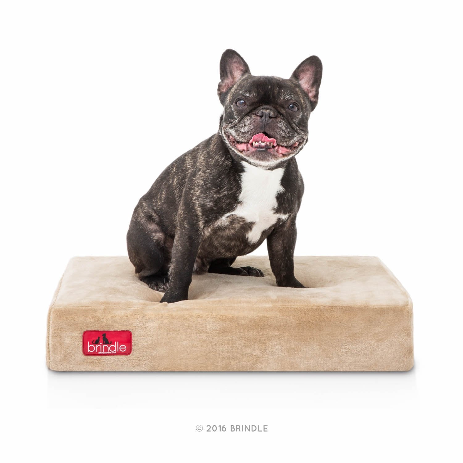 BRINDLE Waterproof Memory Foam Pet Bed - Removable and Washable Cover - 4 Inch Orthopedic Dog and Cat Bed - Fits Most Crates,Kha