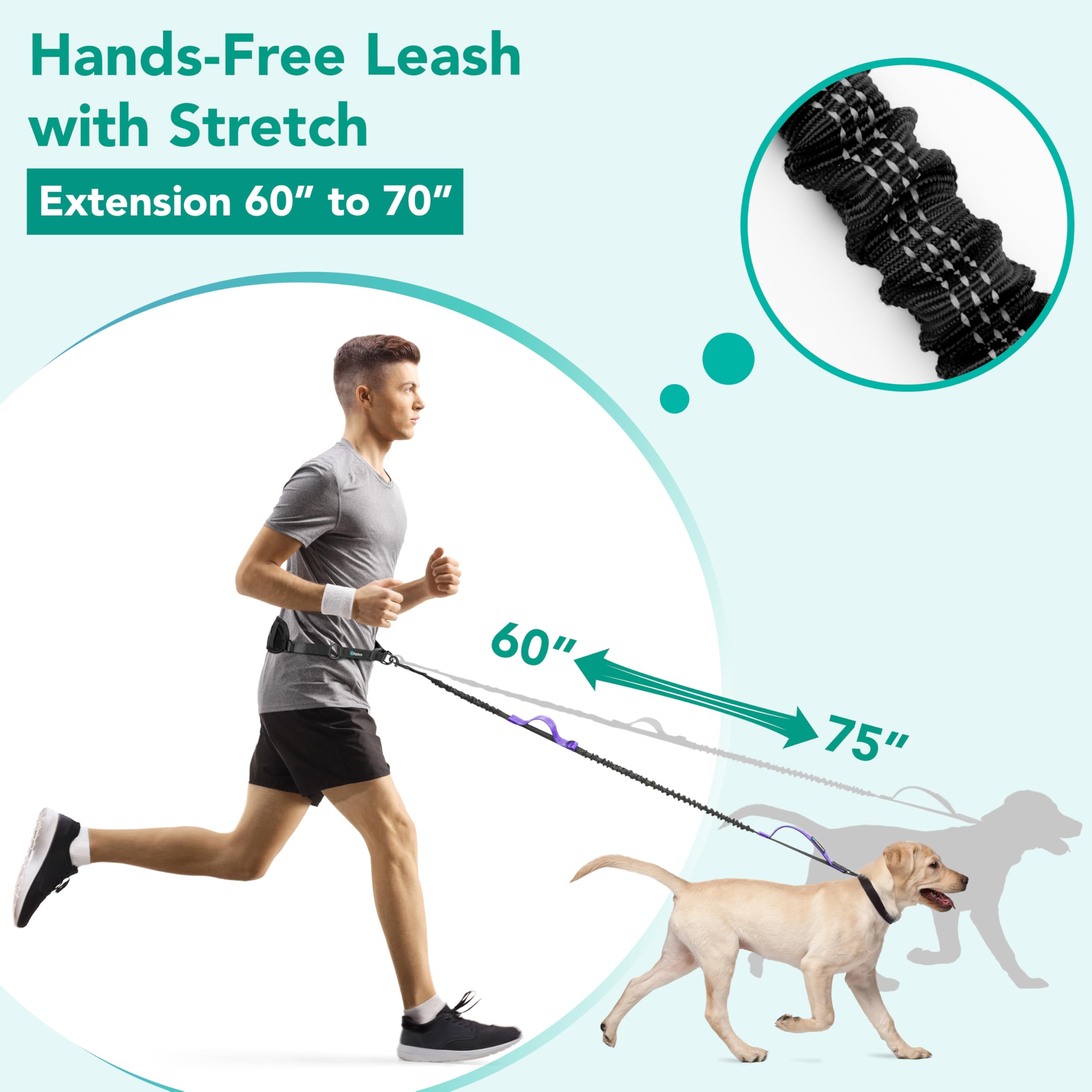 PetAmi Premium Hands Free Dog Leash, Adjustable Waist Belt for Large Dog Walking Up to 125 lbs, Bungee Leash for Pet Running, Hi