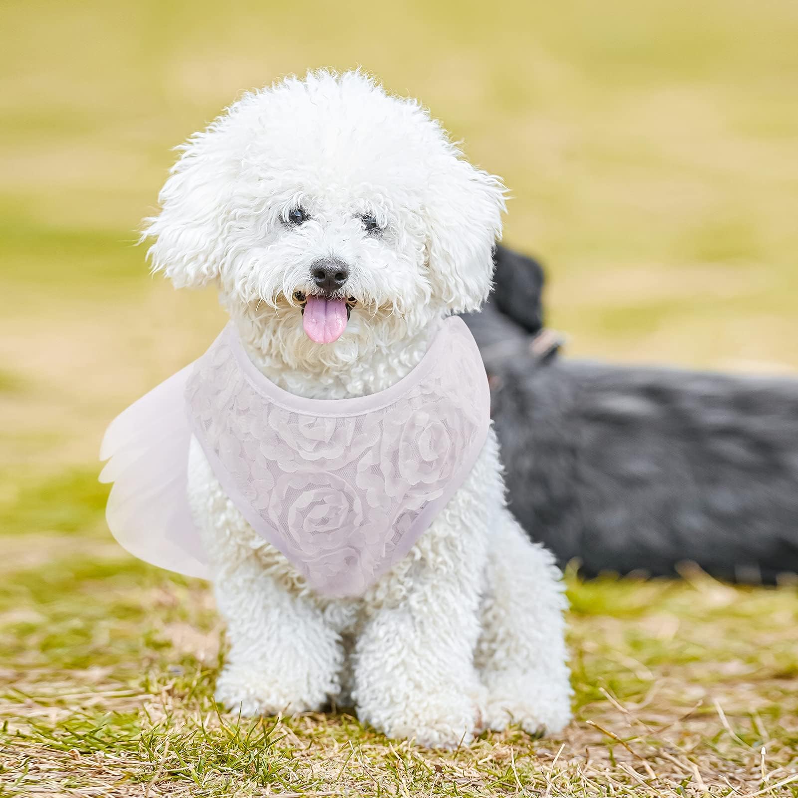 Asenku Dog Dress Pet Wedding Dress Princess Lace Puppy Birthday Party Outfit Formal Apparel Girl For Small Medium Dogs Cats (Med