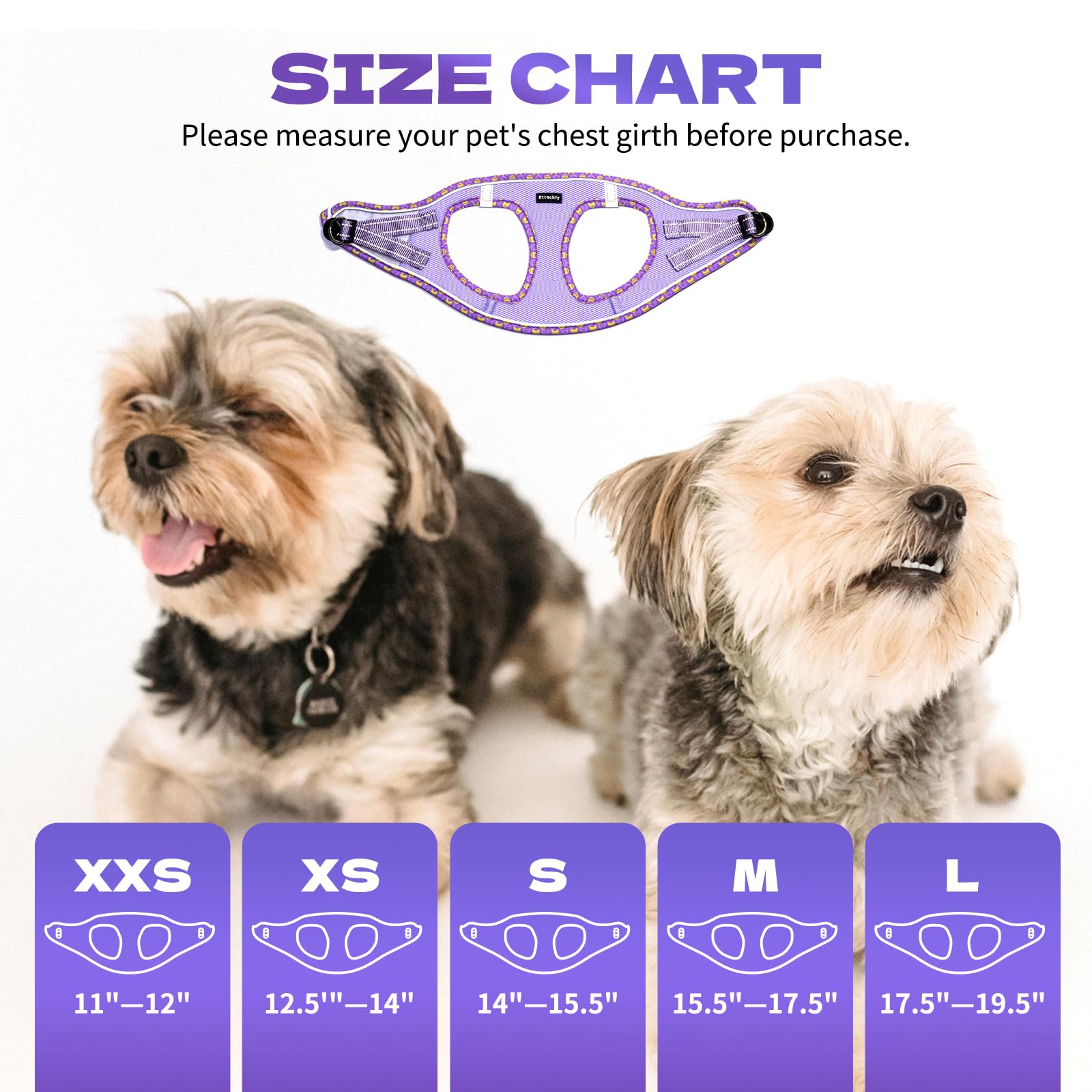 Rttochfy Small Dog Harness, Soft And Reflective Puppy Harness, Dog Harness And Leash Set For Small Size Dogs Training, Walking (