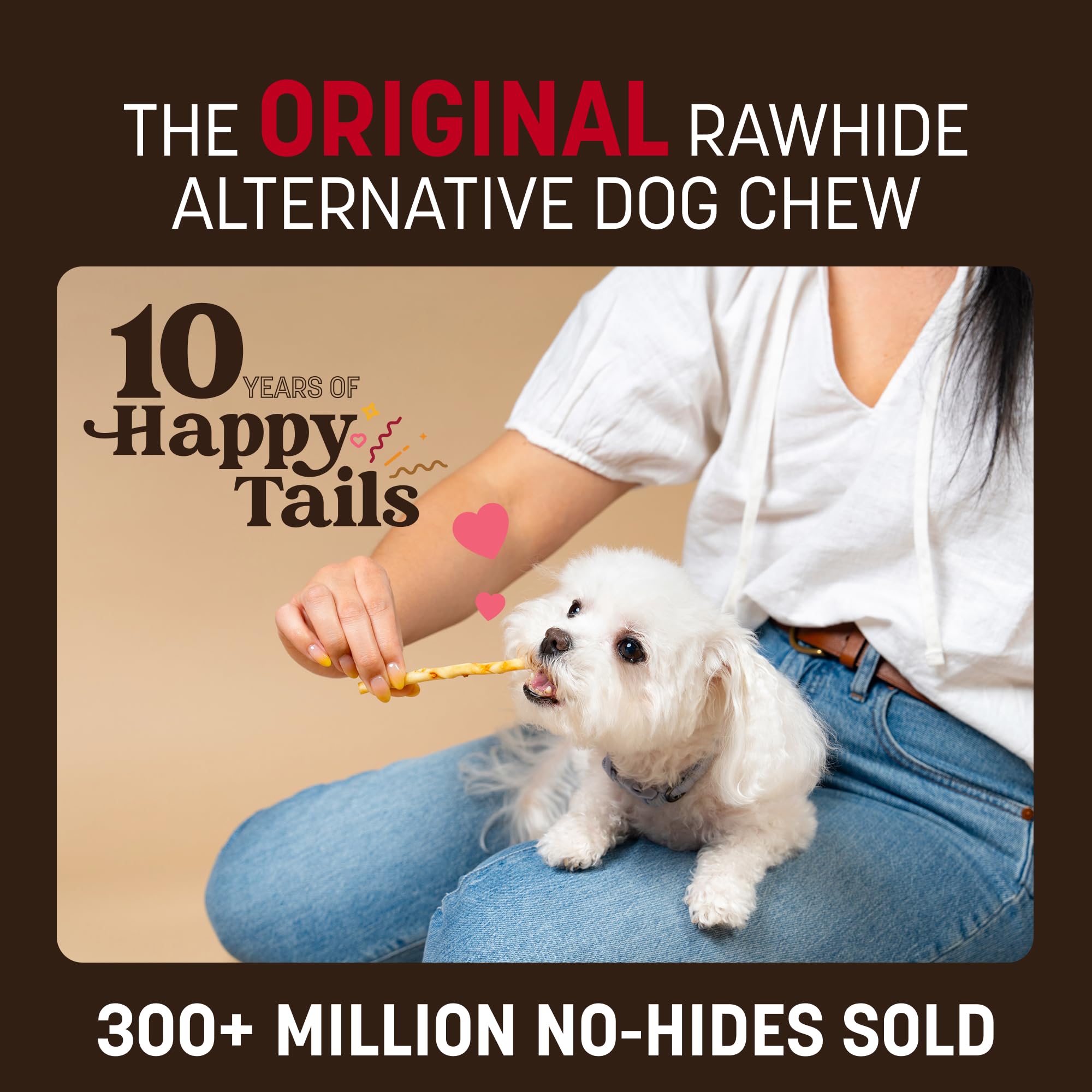 Earth Animal No Hide Stix - Long Lasting Rawhide Free Small Dog Chews Sticks, Holiday Feast - 20 Count Value Pack