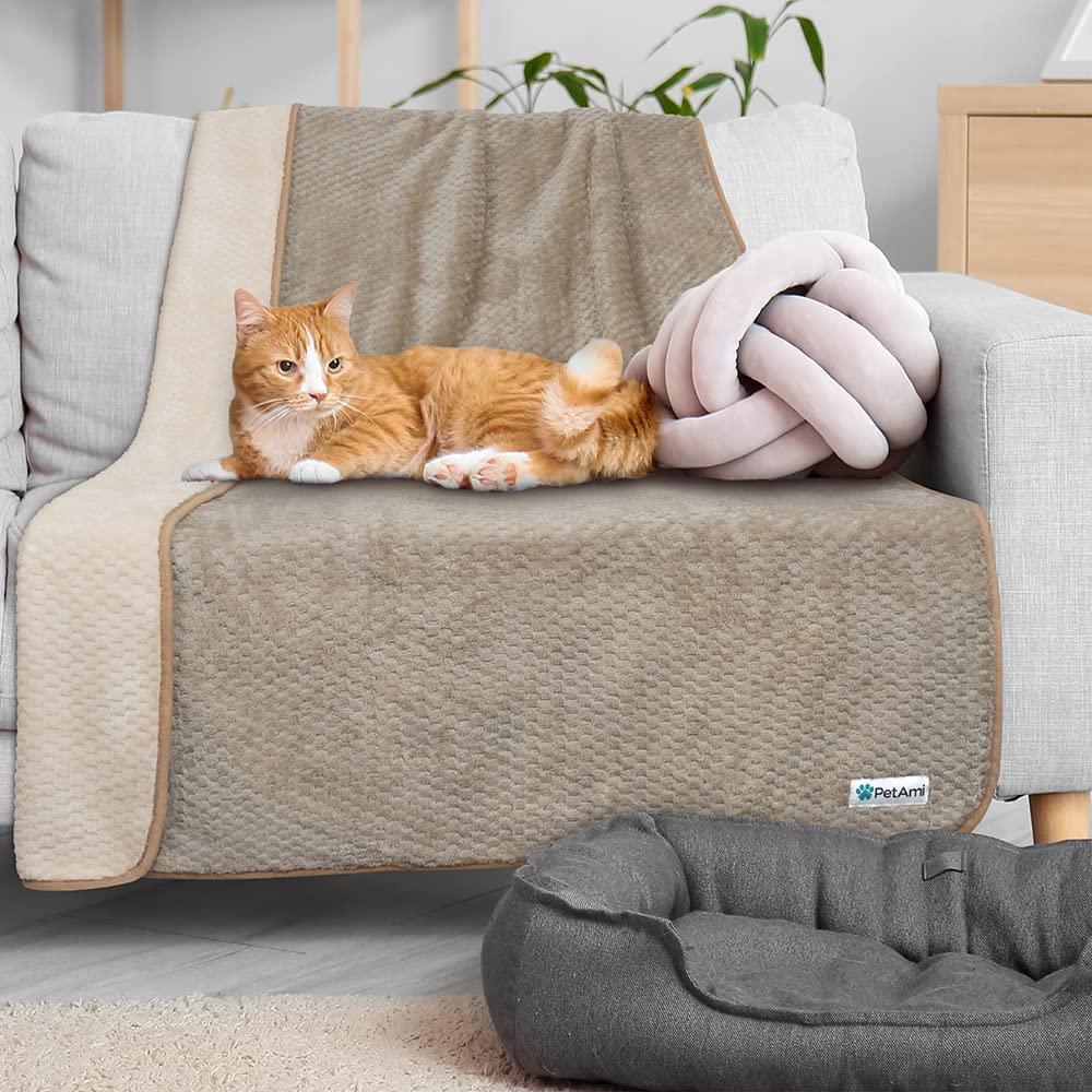 Petami Waterproof Dog Blanket, Leakproof Puppy Blanket For Small Medium Dog, Furniture Sofa Couch Cover Protector, Fleece Pet Throw Indoor Cat Kitten, Reversible Washable Soft Plush, 29X40 Taupe Beige