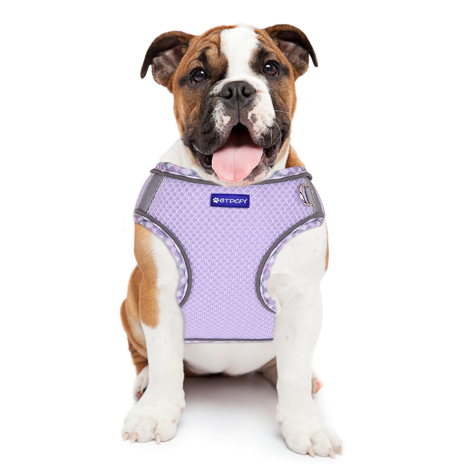 Btdcfy Step In Mesh Dog Harness And Leash Set, Breathable Air Mesh Reflective Escape Proof Dog Harness Vest, No Choke, Lightweig