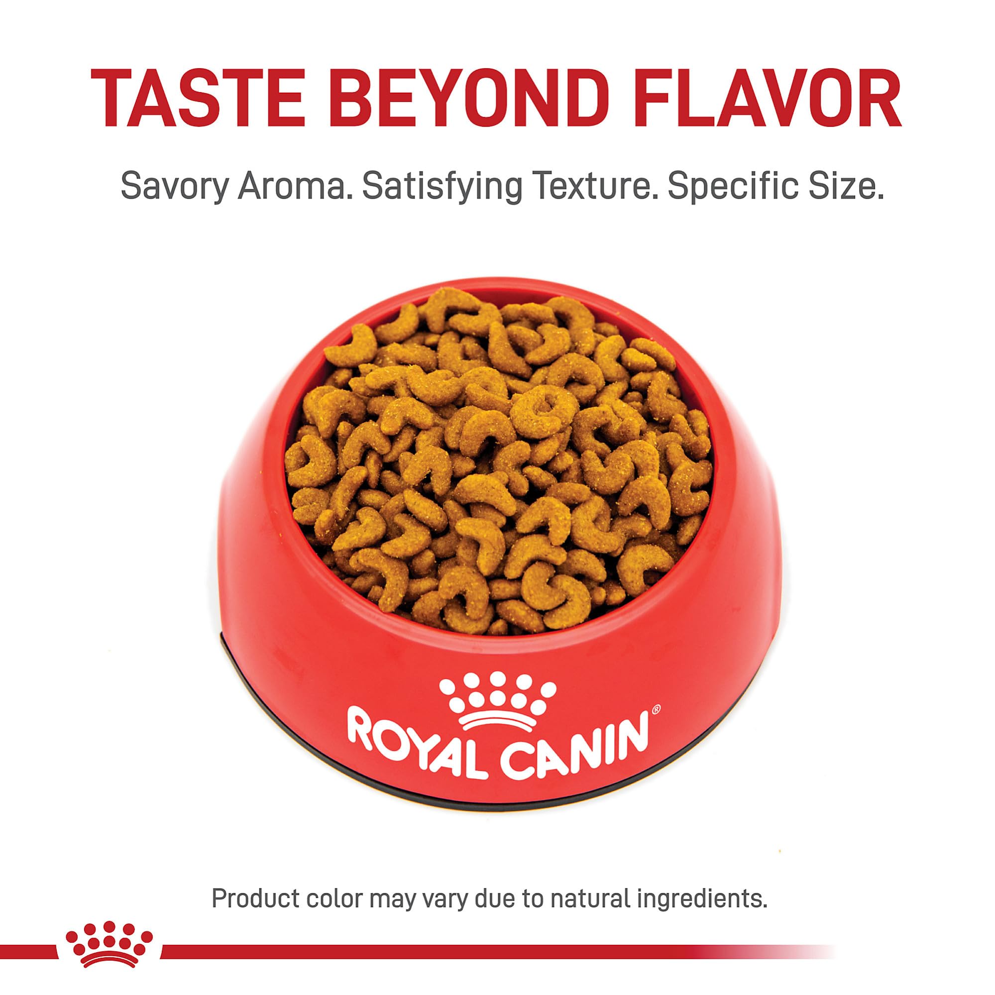 Royal Canin Feline Breed Nutrition American Shorthair Adult Dry Cat Food, 5.5 lb Bag