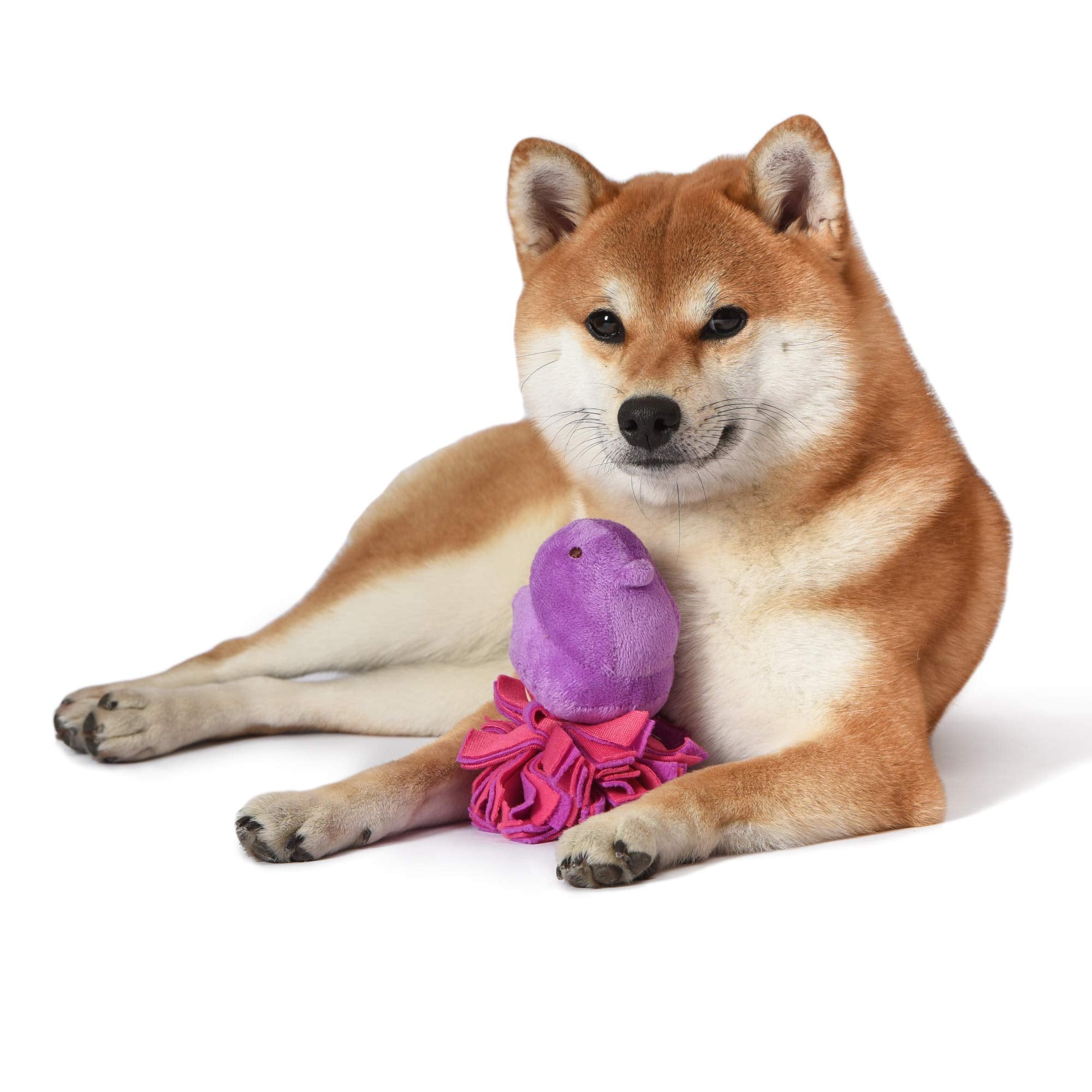 Peeps for Pets Plush Chick Fleece Bottom Dog Toy in Purple and Pink Purple Peeps Chick Dog Toys, Small Plush Dog Toys with Squea