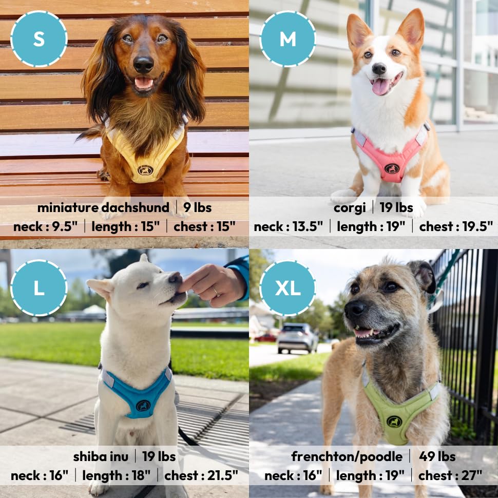 Gooby Memory Foam Step In Harness - Green, Small - No Pull Small Dog Harness Patented Choke-Free X Frame - Perfect On The Go Dog Harness For Medium Dogs No Pull Or Small Dogs