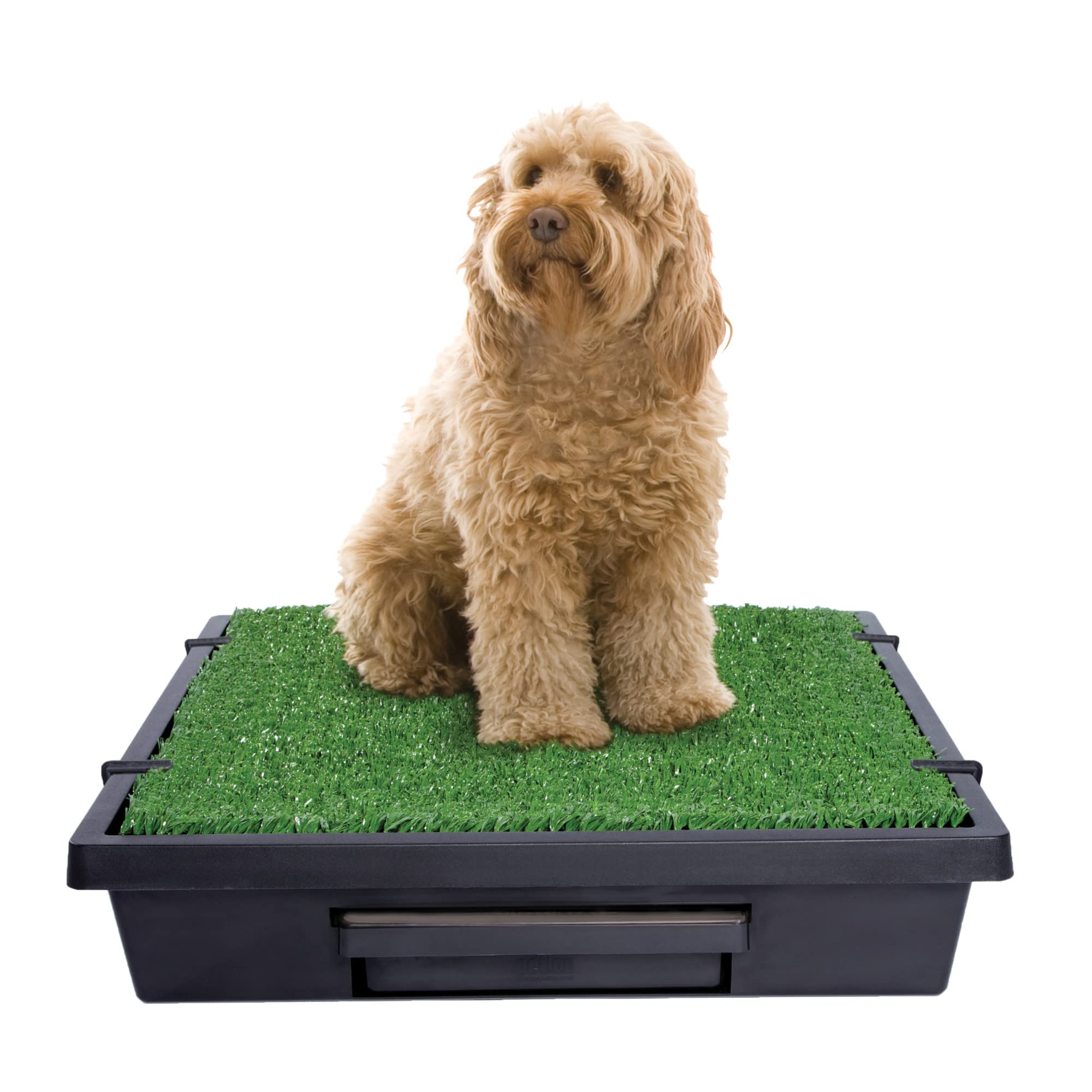PetSafe Pet Loo Portable Dog Potty - Pet Toilet Alternative for Puppy Pads - Medium - Perfect for House Training - Easy-to-Clean