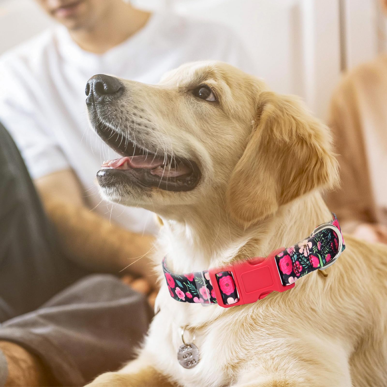 Girl Dog Collar With Red Flowers, Cut Female Dog Collar With Quick Release Buckle & Adjustable Comfy Pet Collar For Xs Small Med