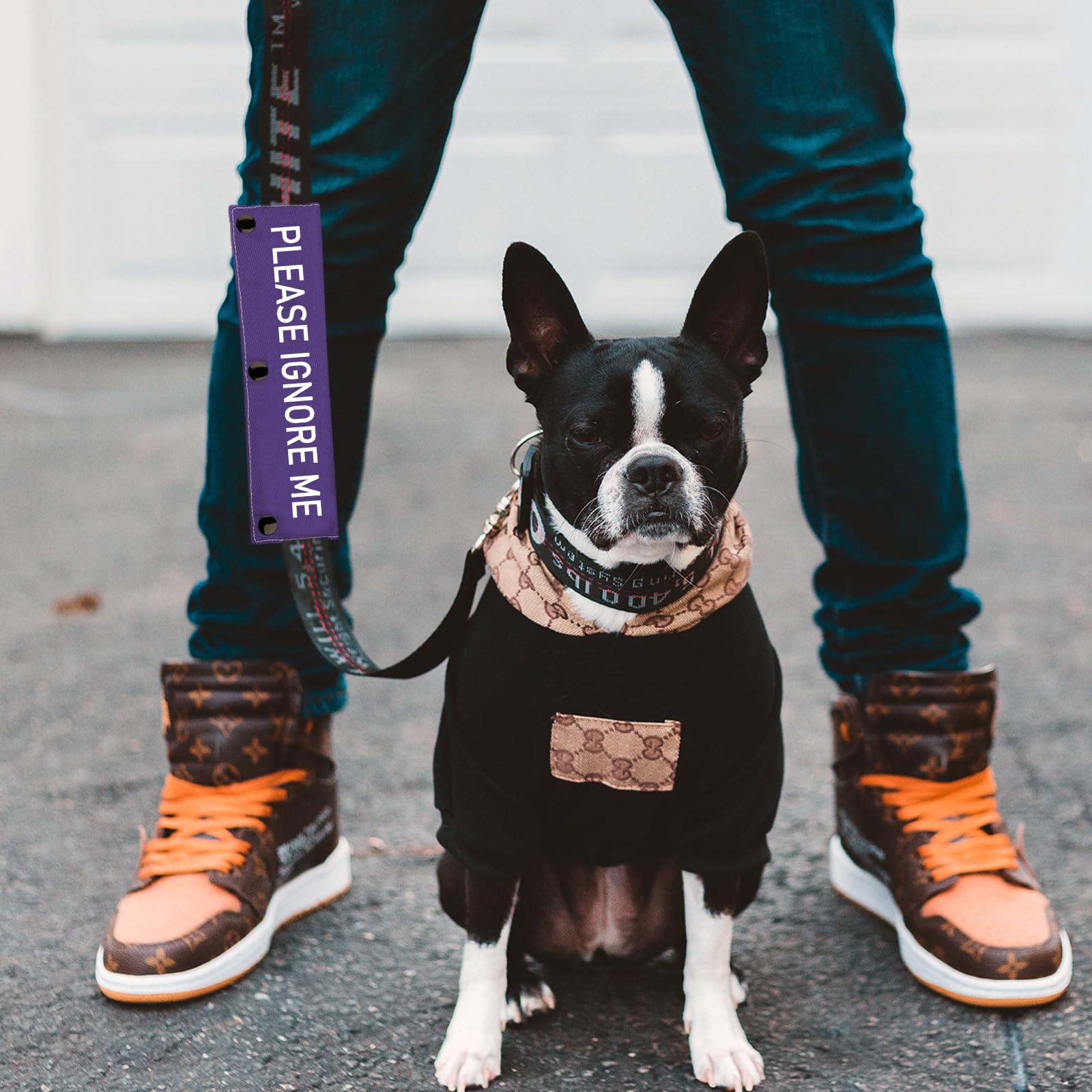 Working Dog Leash Sleeve Please Ignore Me Alert Dog Leash Wrap Social Distancing Gift(Please Ignore Me)