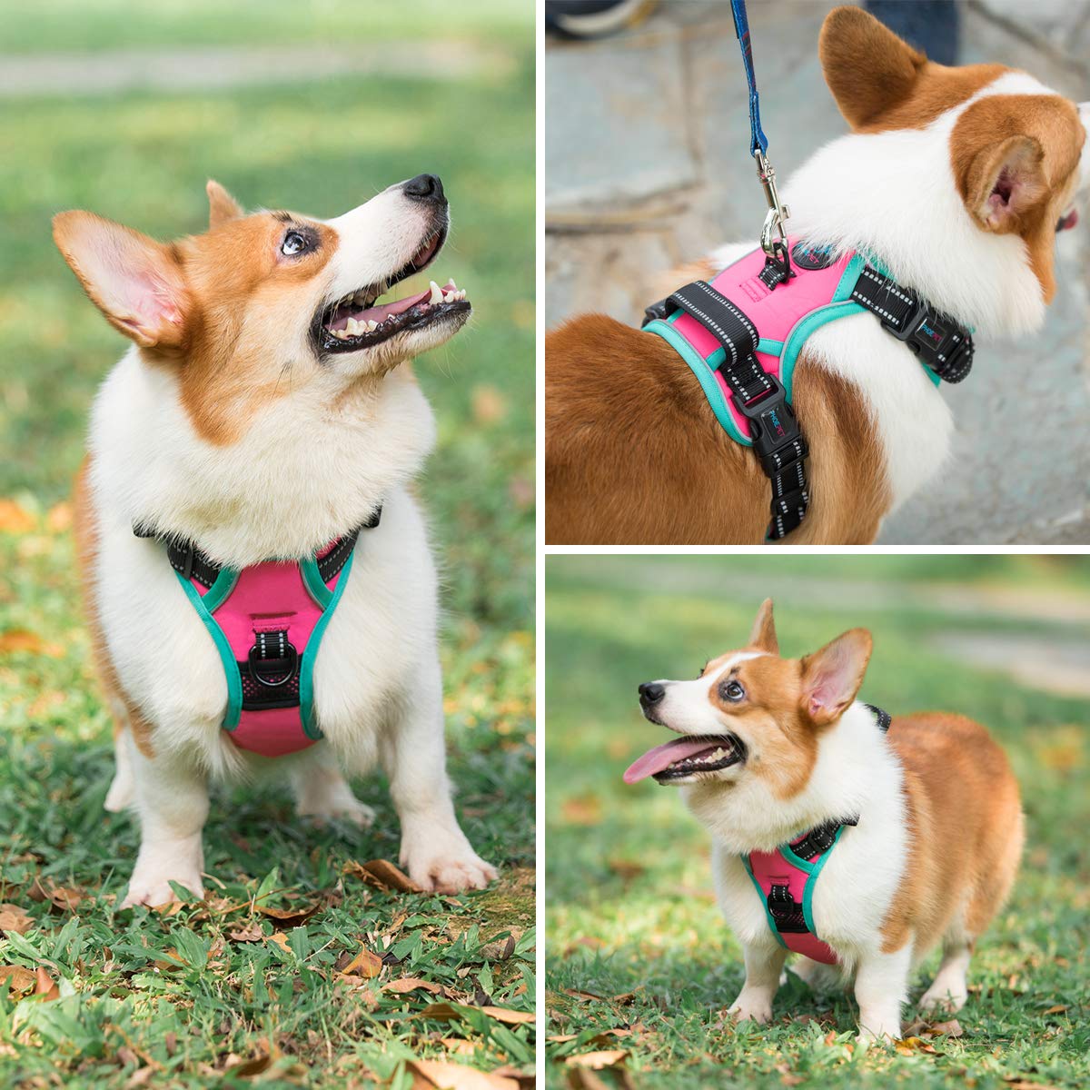 Phoepet 2019 Upgraded No Pull Dog Harness, Reflective Adjustable Vest, With A Training Handle + 2 Metal Leash Hooks+ 3 Snap Buck