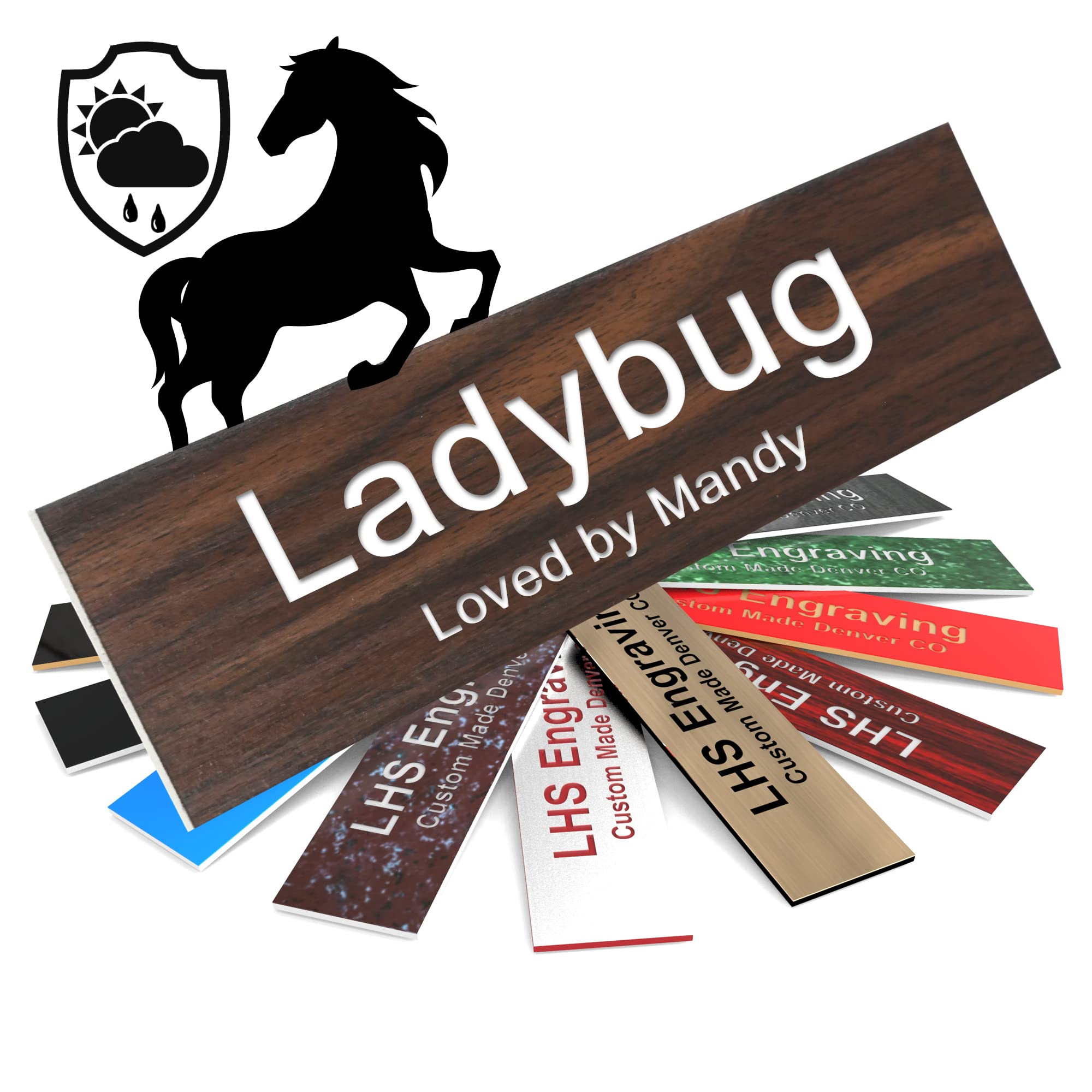 Lhs | Horse Stall Name Plate, 2X10 Personalized Stall Signs, Uv Protected, All Weather Adhesive, Hanging, Mounting Or Other, Tea