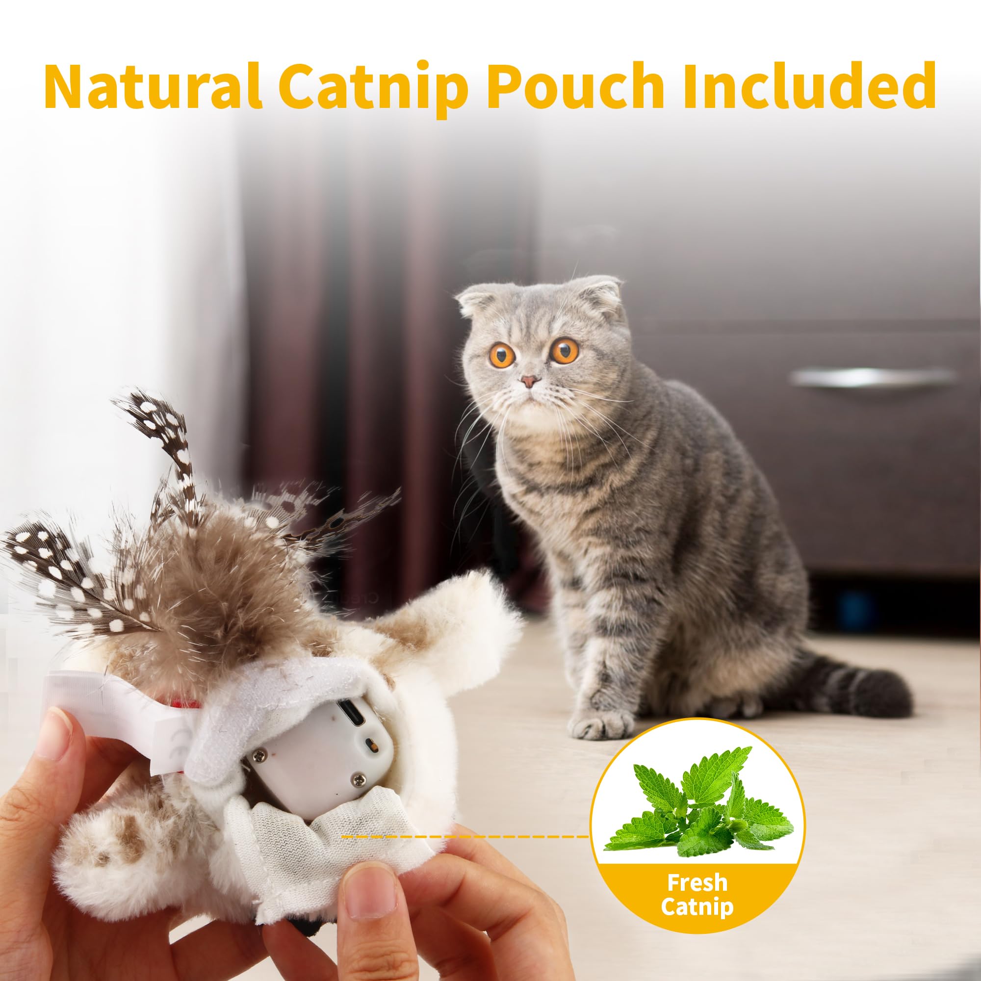 Gigwi Interactive Cat Toys For Indoor Cats, Flapping And Chirping Catnip Toys For Cat Exercise, Automatic Cat Toy With Beating W