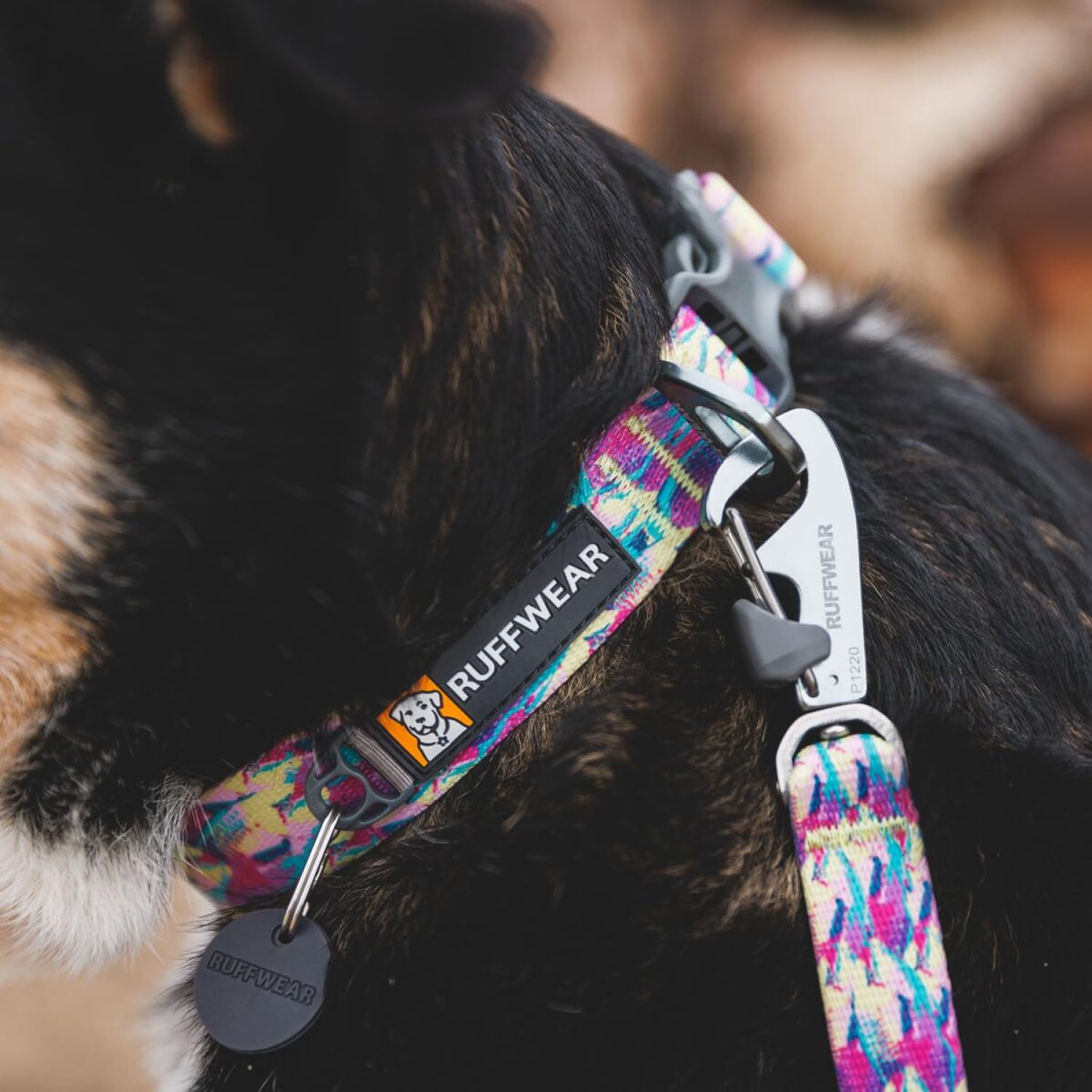 Ruffwear, Front Range Dog Collar, Durable And Comfortable Collar For Everyday Use, Spring Fade, 11'-14'