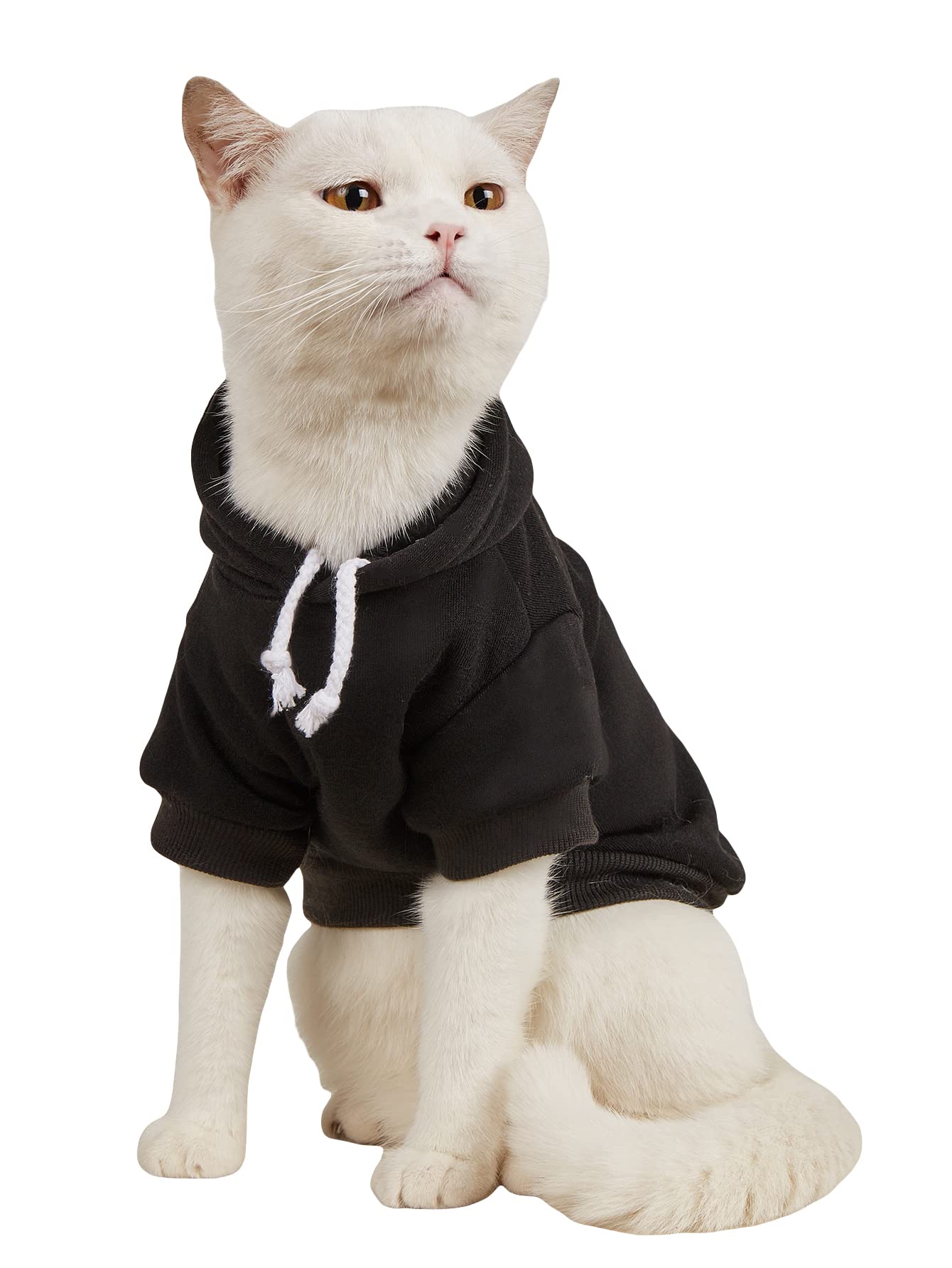 Qwinee Basic Dog Hoodie, Dog Warm Jacket, Cat Apparel, Dog Shirt, Dog Clothes For Puppy Kitten Small Medium Dogs Cats Black L, (