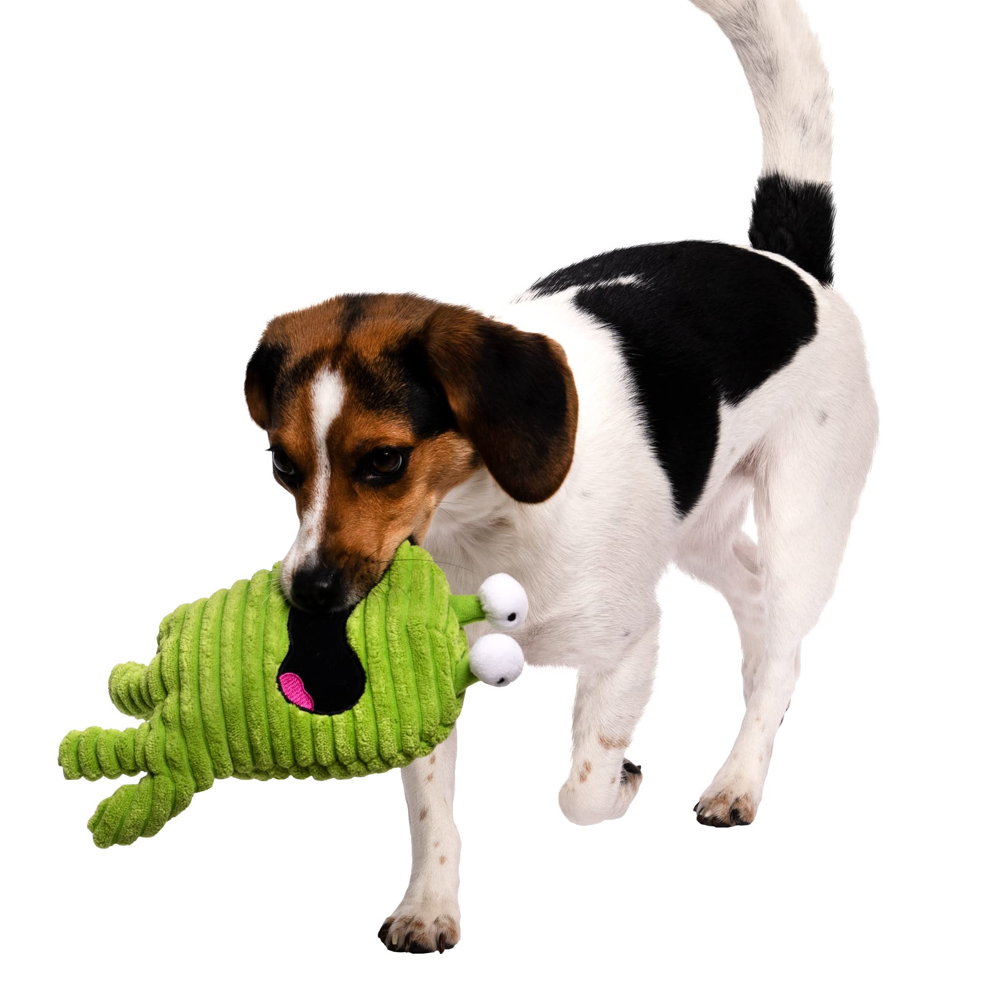 goDog Squeaky Plush Dog Toy with Odor-Eliminating Oils, Chew Guard, Small, Green, Model 70099