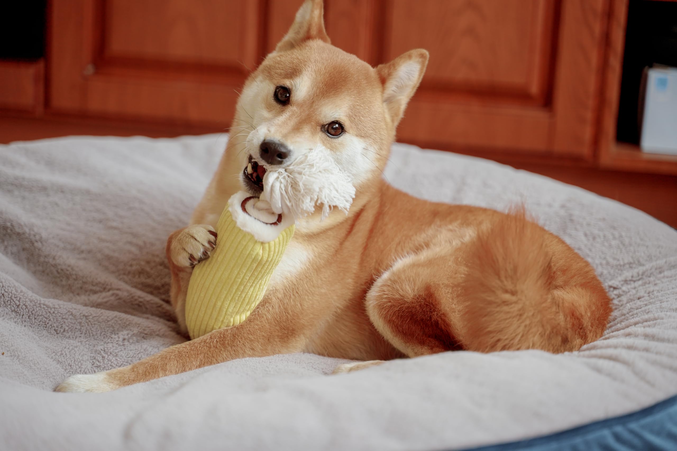 Puffy Crew Squeaky Dog Plush Toy, Bakery Bite_Stick Collection, 12, For Various Sized Dogs (Swiss Roll, Large)