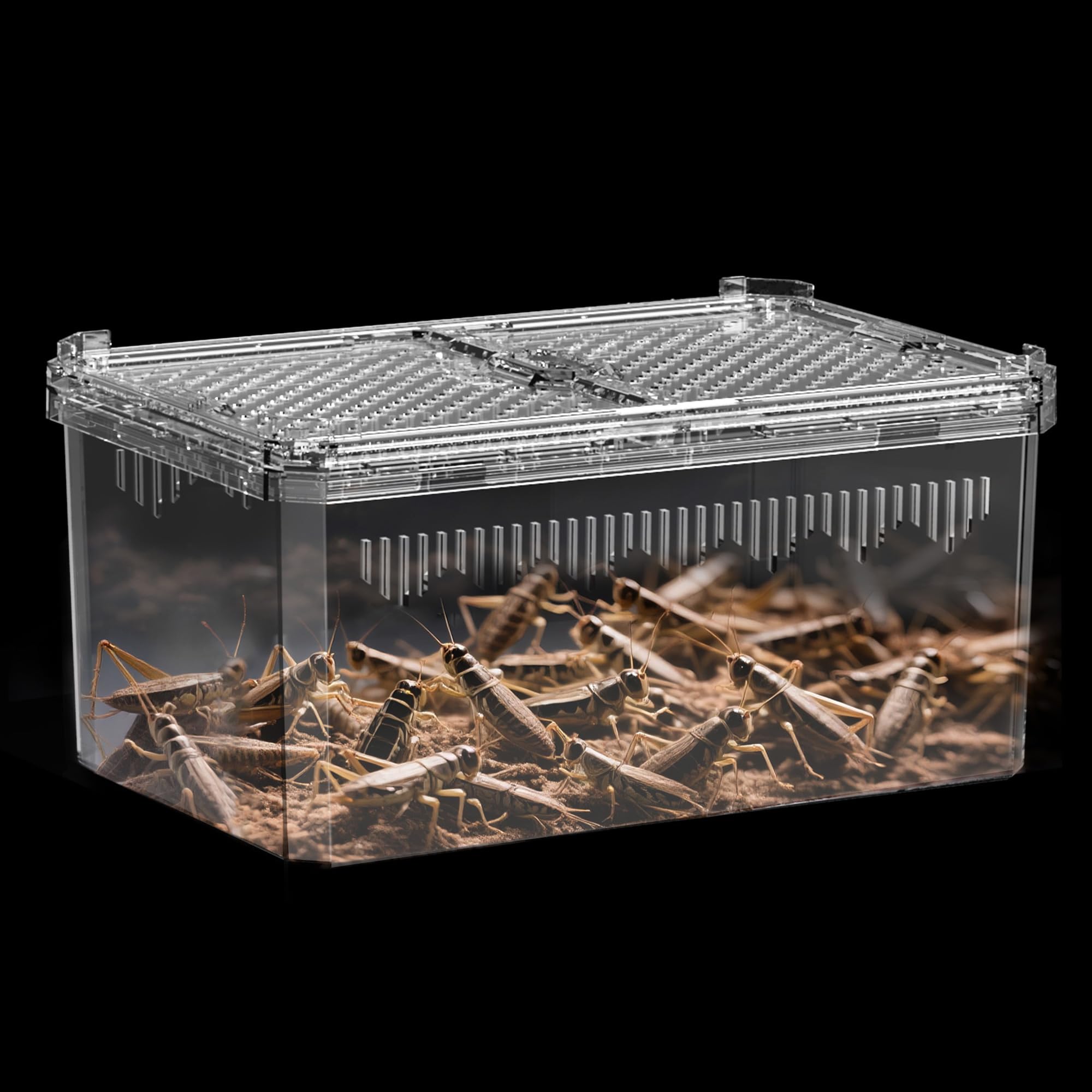 ?No Assembly? Breathable and Secure Reptile Tank with high Transparency - Ideal Container House for Hermit Crab, Tarantula Enclo