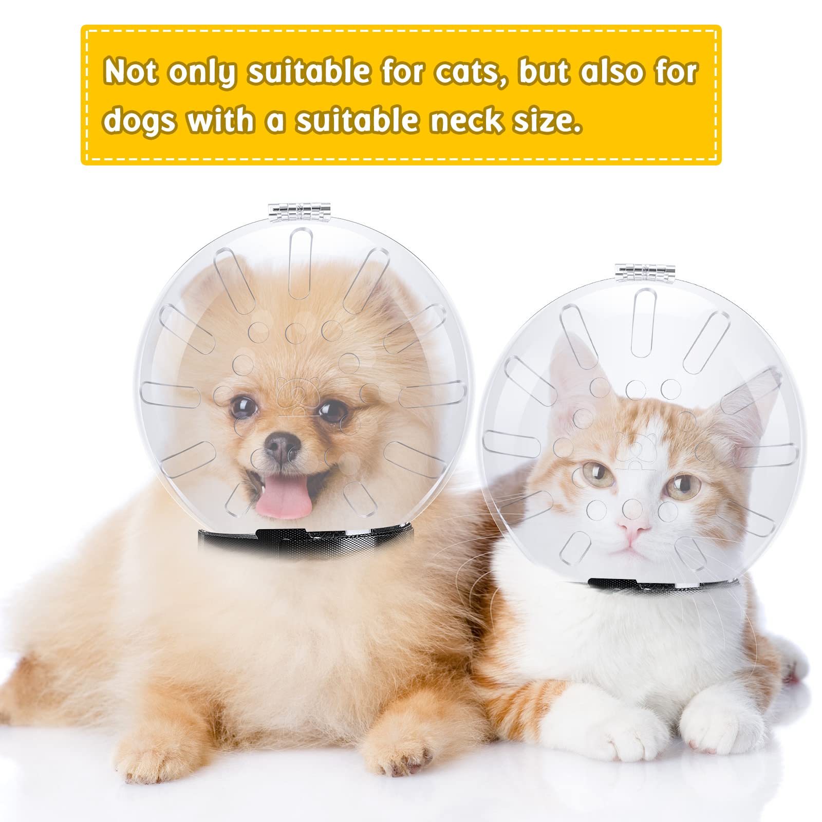 Cat Muzzle Cat Helmet Cat Mouth Cover Helmet Muzzle Pet Grooming Muzzle Cat Adjustable Hood Transparent Breathable Cat Face Mask Cat Grooming Muzzle Mask For Cat Dog Pet Costume Tools (M)