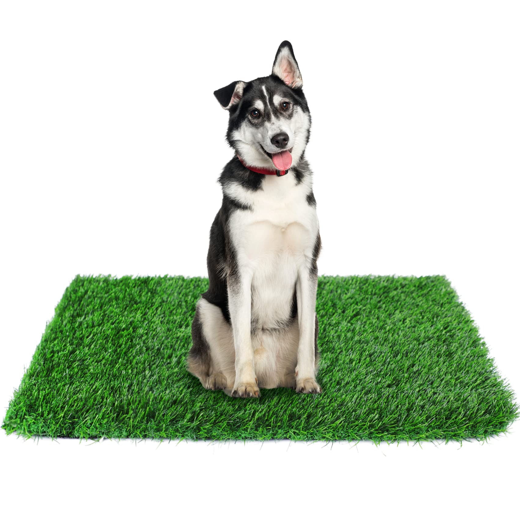 Globreen Dogs Artificial Grass Pee Pads, Puppy Potty Training Turf, Pets Fake Grass Mat For Indoor Outdoor, 45' X 32'