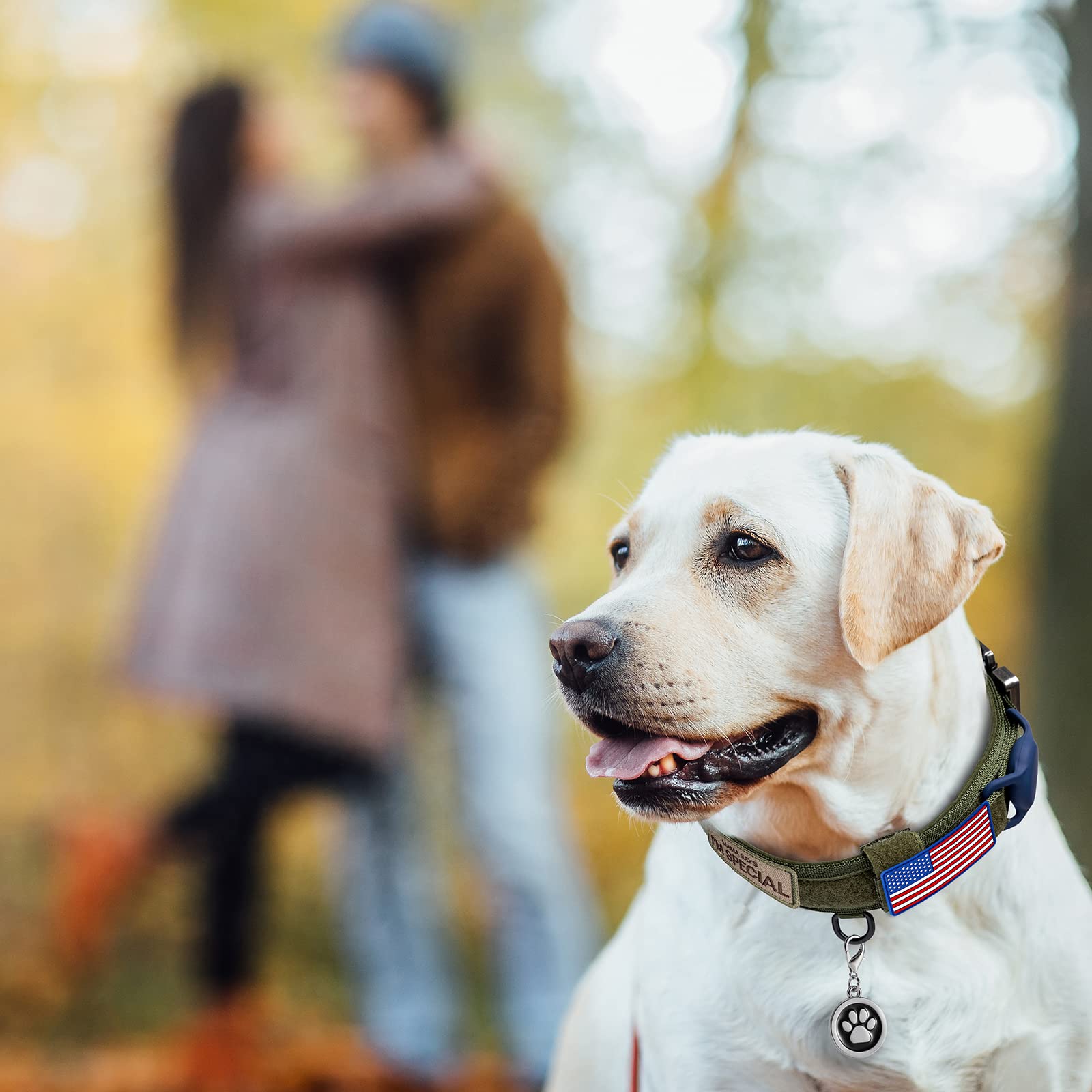 Tactical Dog Collar Adjustable Military Collar: - Nylon K9 Collars with Control Handle and Heavy Duty Metal Buckle for Medium an