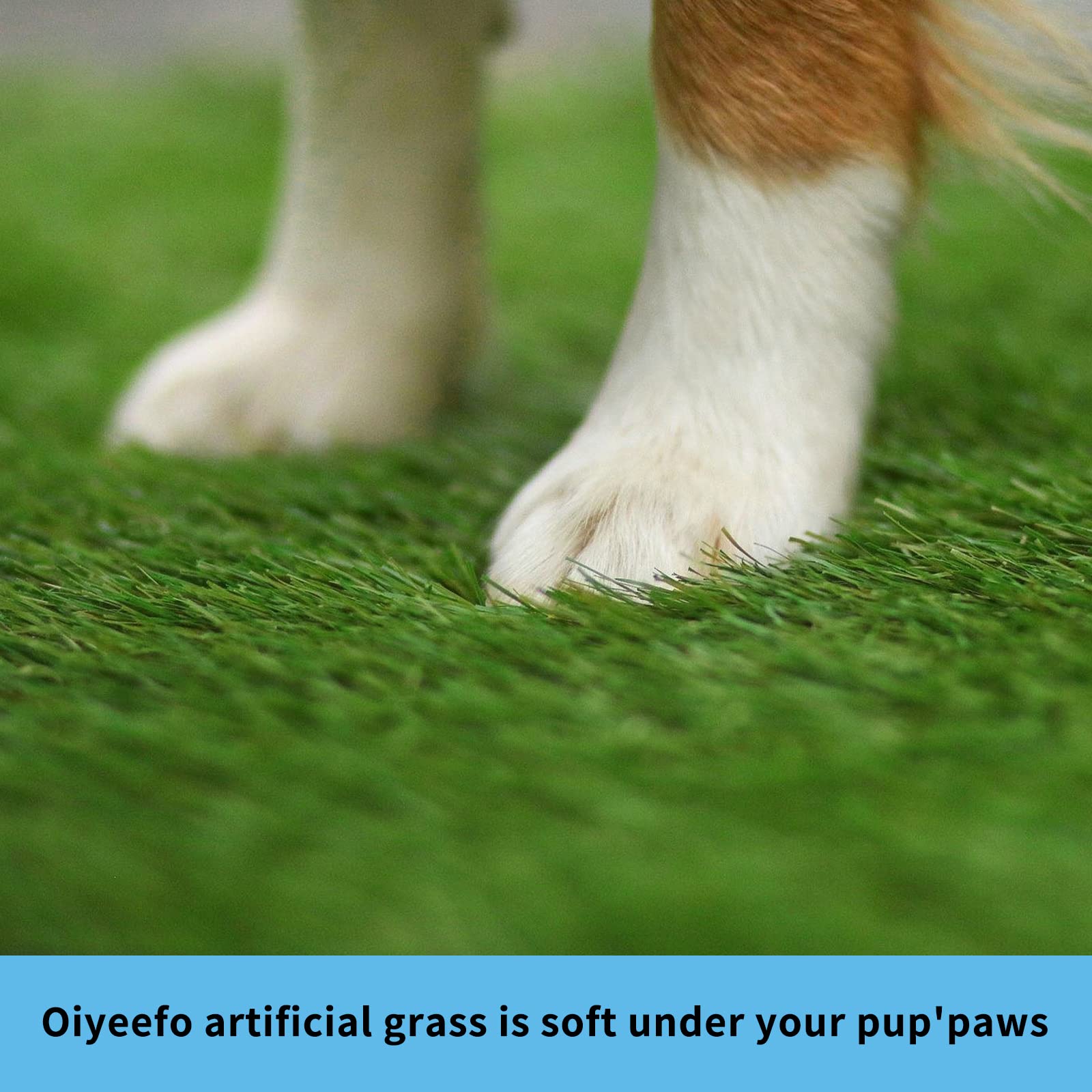 Oiyeefo Dog Grass Pad With Tray,29   X 18    Indoor Dog Potty With 2 Packs Replacement Artificial Fake Grass-5 Packs Disposable