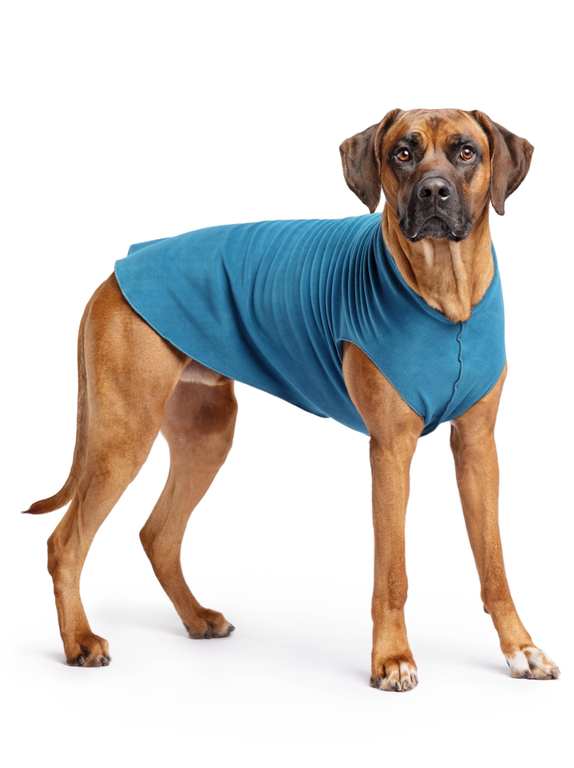 Gold Paw Stretch Fleece Dog Coat, Stretchy Pet Sweater, Machine Washable Pullover For Winter And Fall, Marine Blue, 26