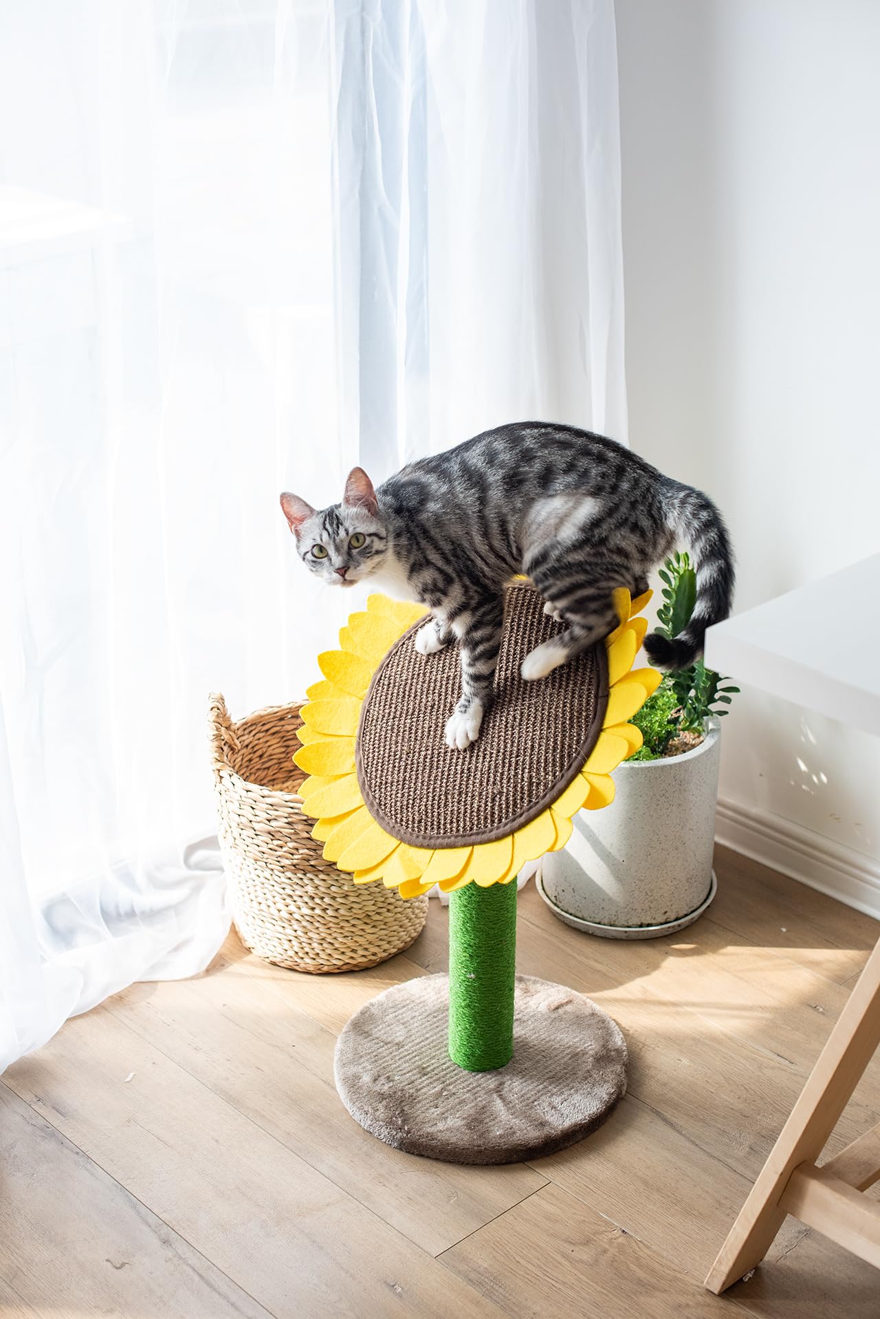 Catry 24' Sunflower Cat Scratching Post, Sunflower Small Cat Bed, 2 In 1 Natural Jute Scratching Pad And Bed With Cat Teaser Bee Toy