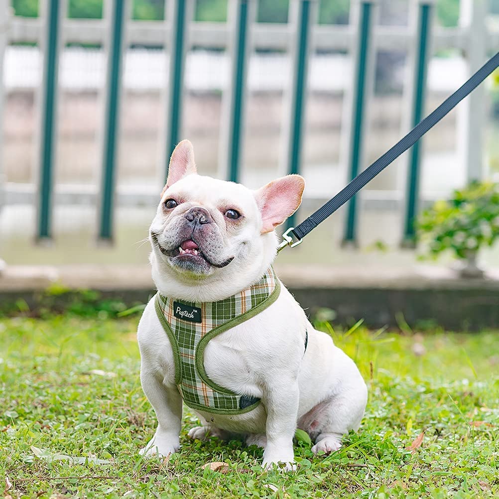 Pupteck Soft Mesh Dog Harness And Leash Set Pet Puppy Cat Comfort Padded Vest No Pull Harnesses, Olive Green, Xs