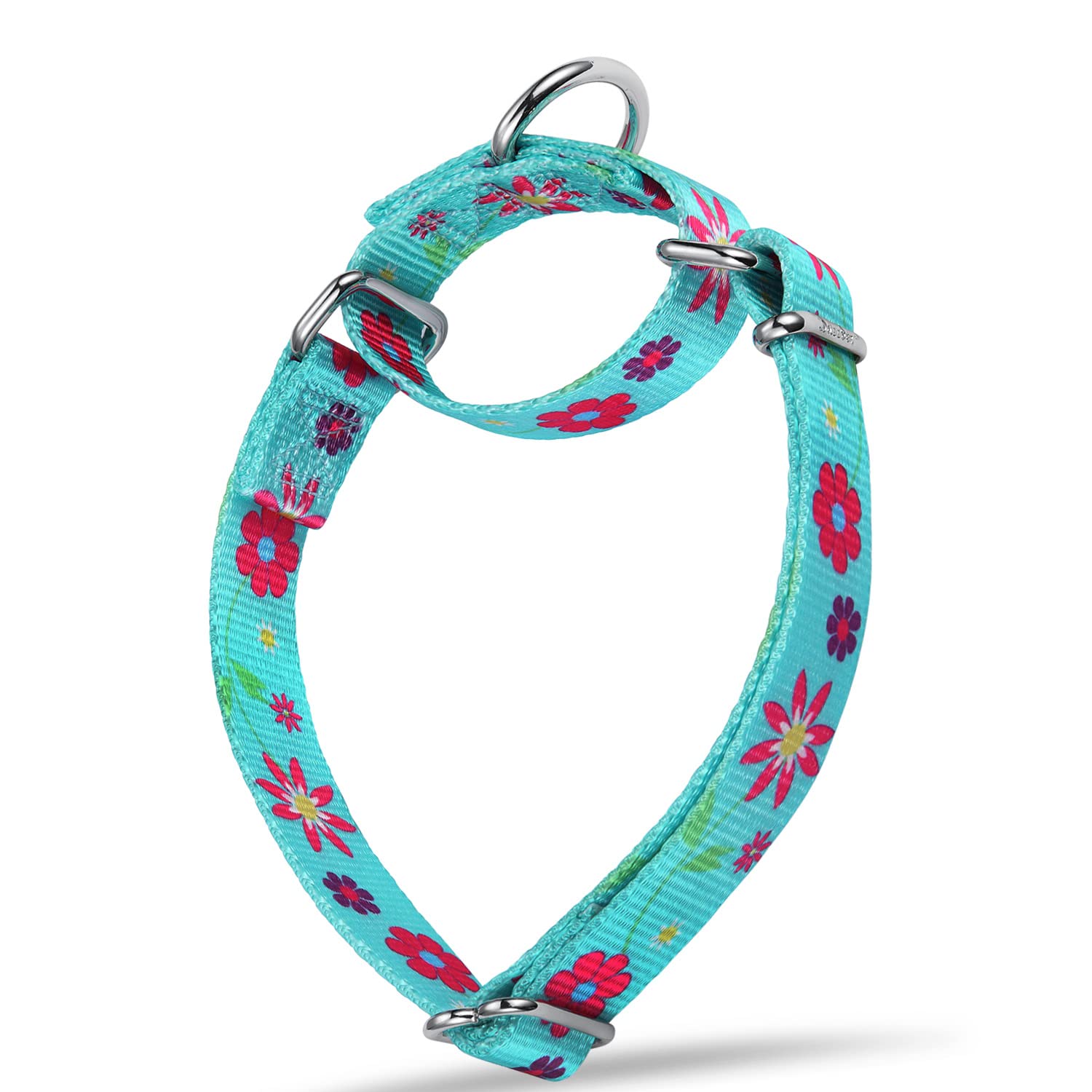 Dazzber Martingale Collar Floral Print Dog Collar - No Pull Pet Collar, Heavy Duty Adjustable Dog Collar, Large, Neck 17 Inch To